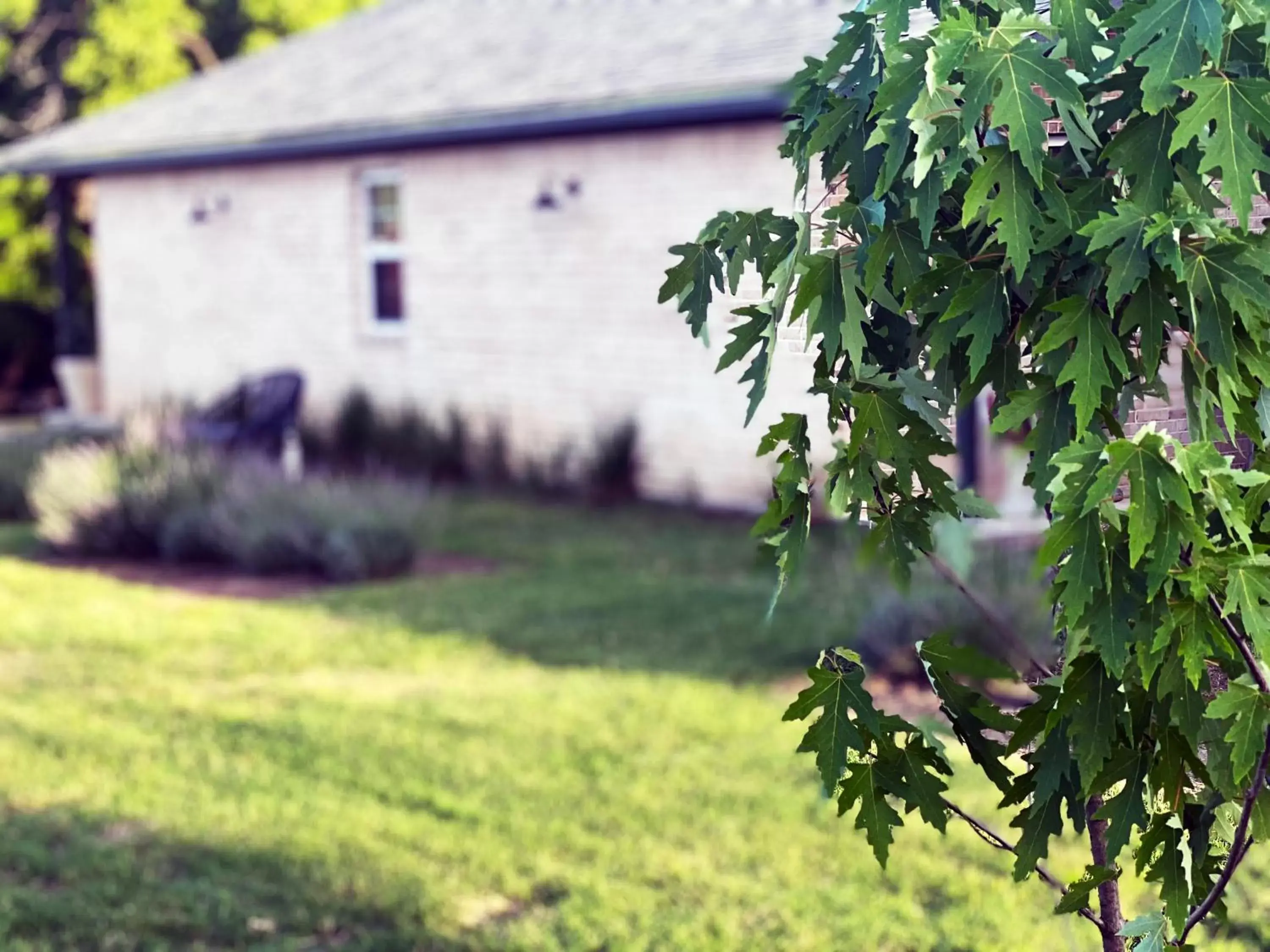 Property building, Garden in Mulberry