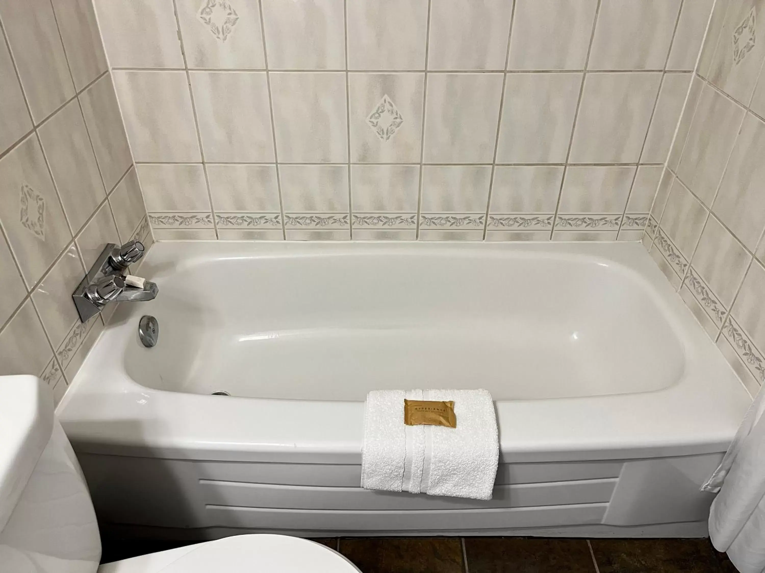 Bath, Bathroom in Anavada Inn & Suites - Prince George