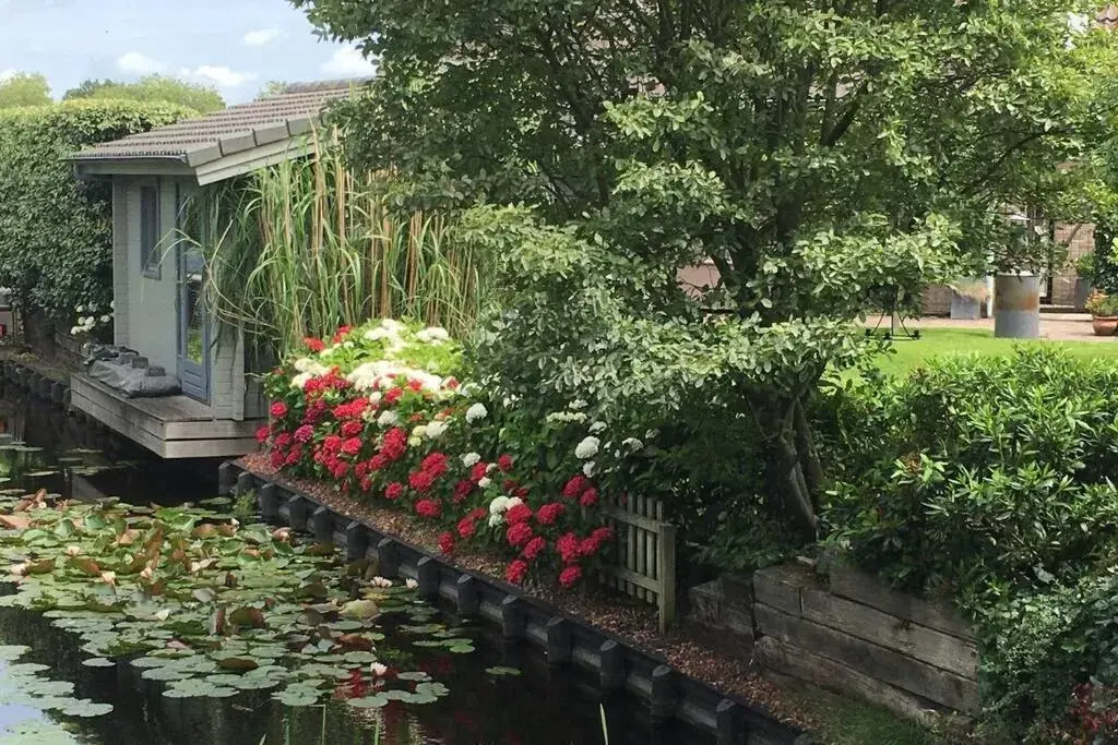 Garden in Tiny House Boatshed