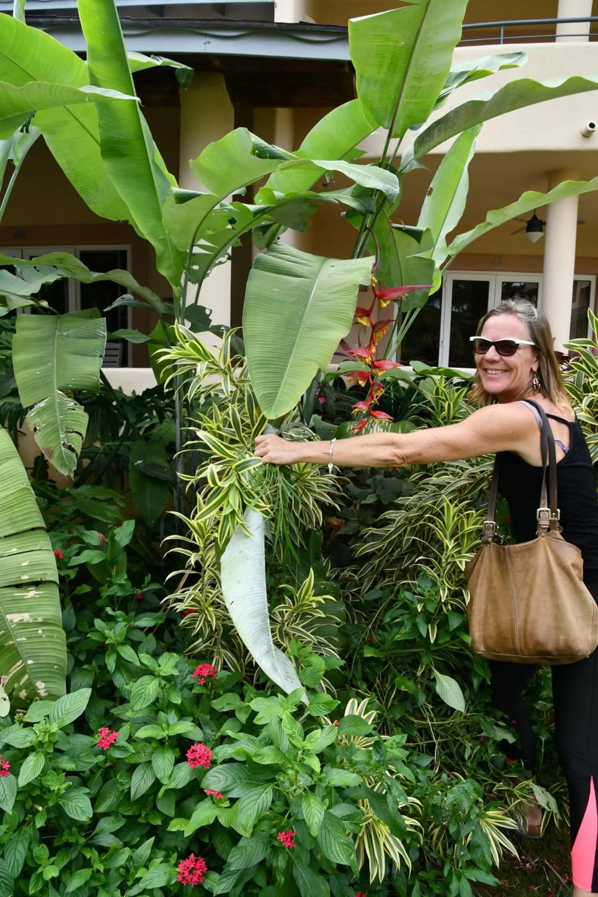 Natural landscape in Hotel Alisei