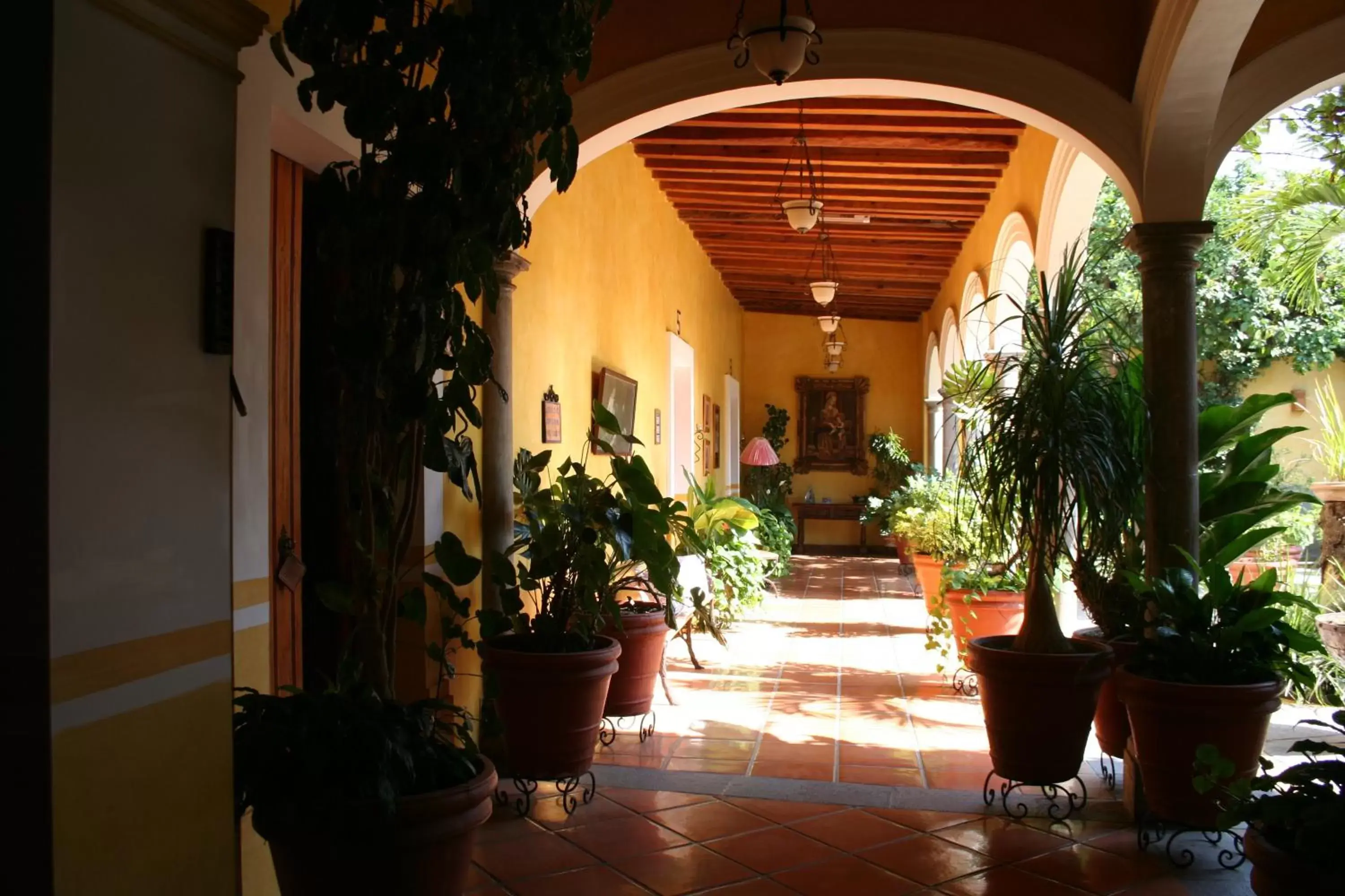 Garden in La Casa de los Patios Hotel & Spa