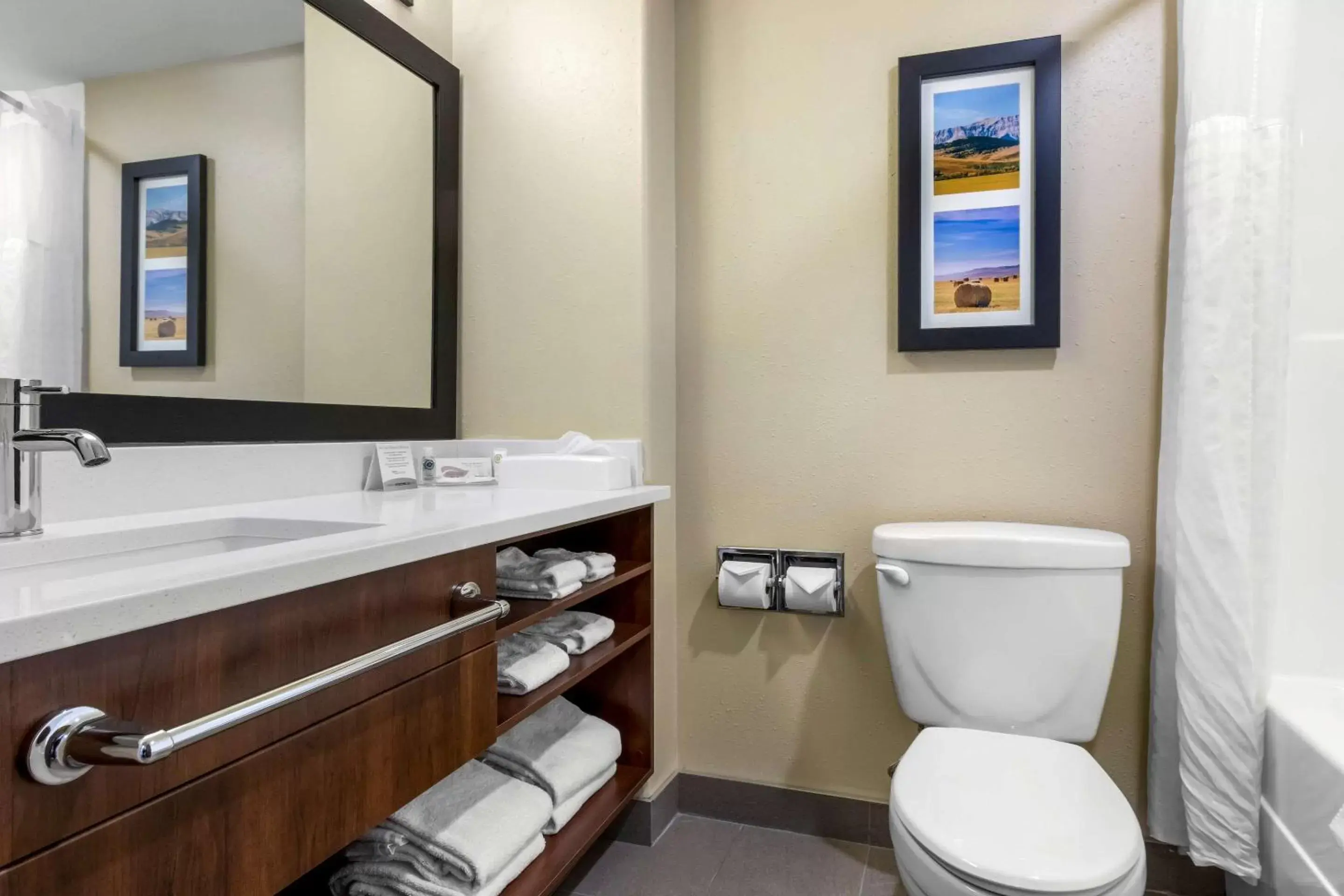 Toilet, Bathroom in Comfort Inn Lethbridge