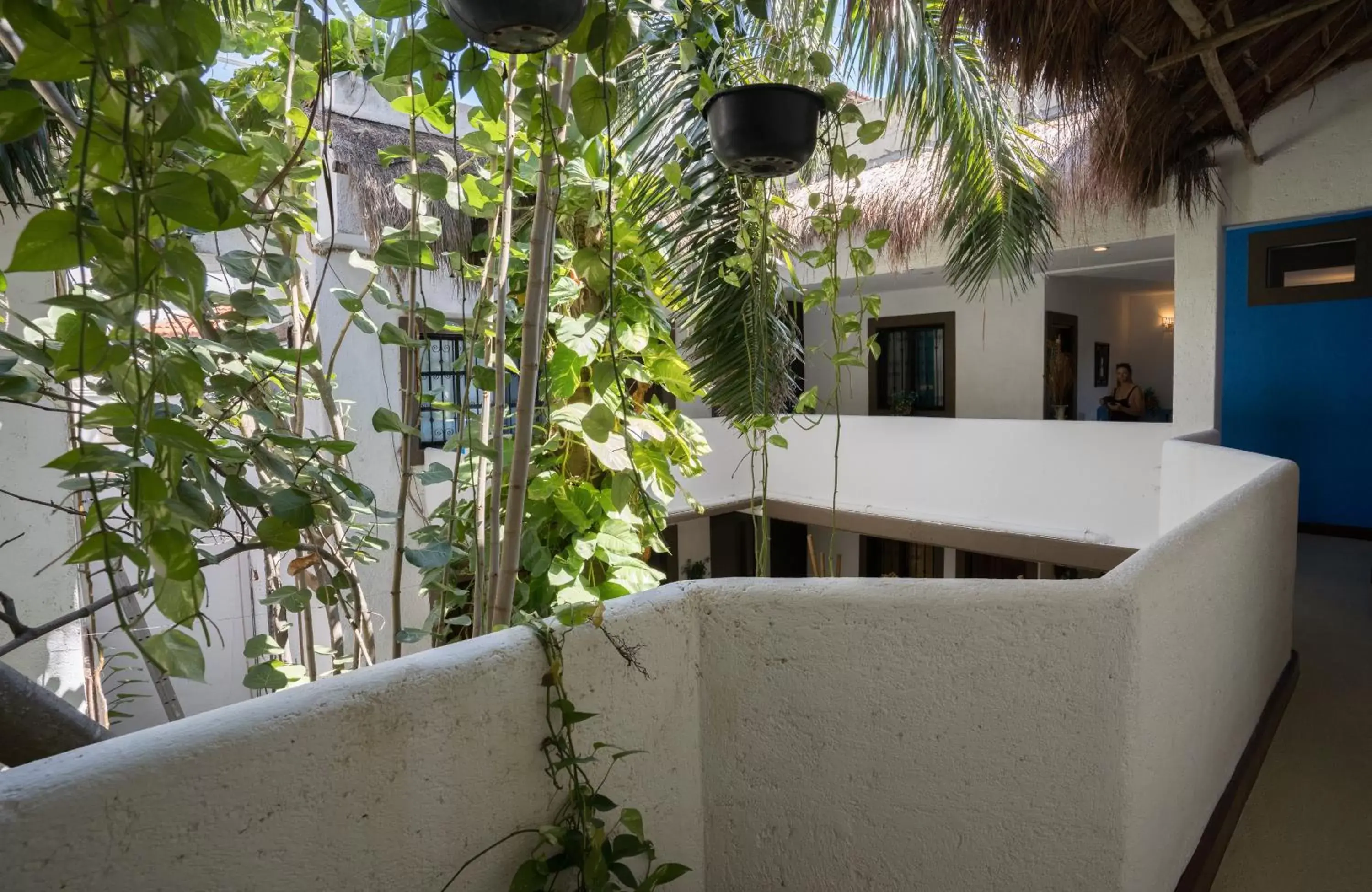 Balcony/Terrace in Posada Mariposa Boutique Hotel - 5th Avenue