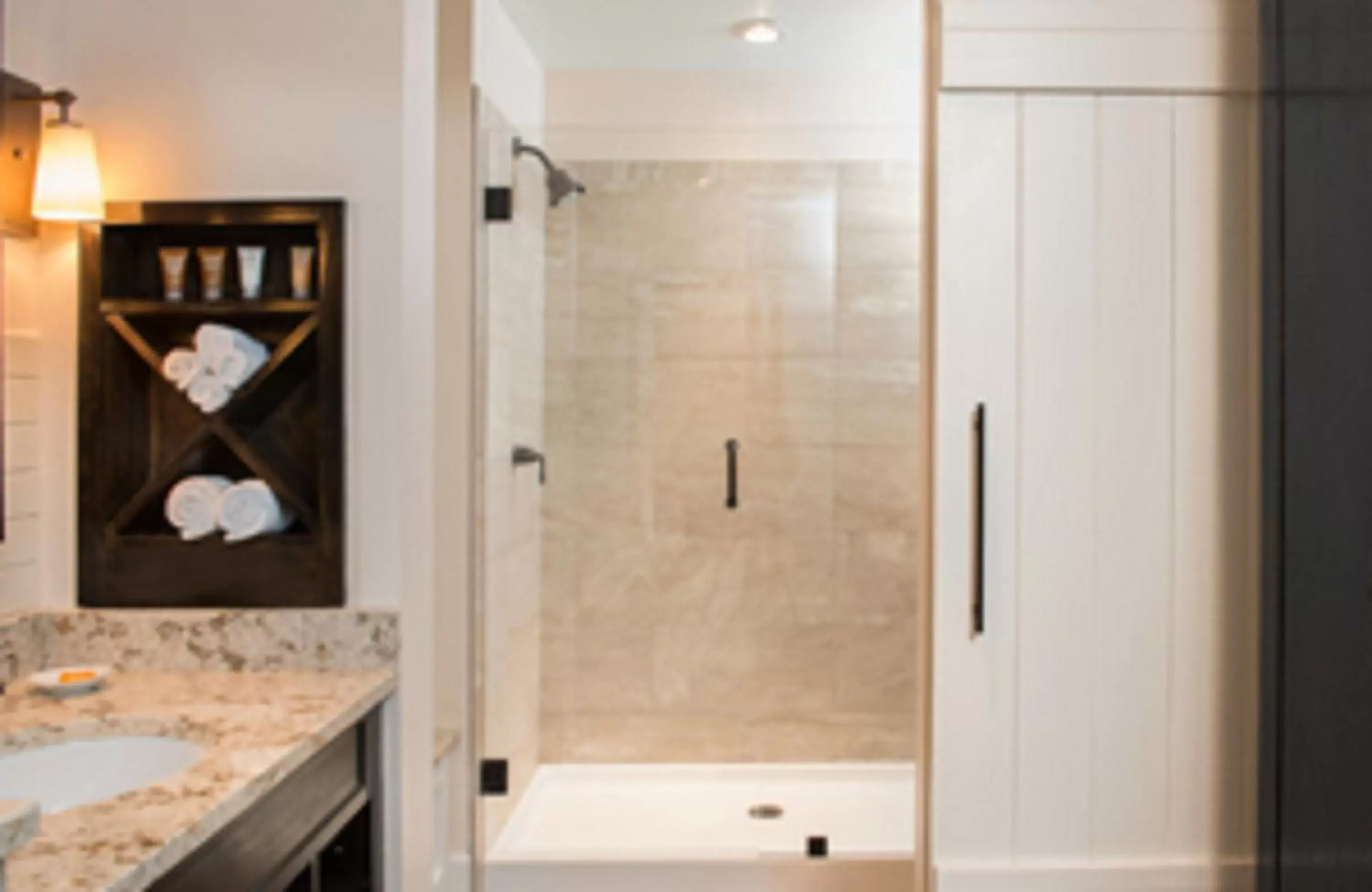Shower, Bathroom in Village Hotel on Biltmore Estate