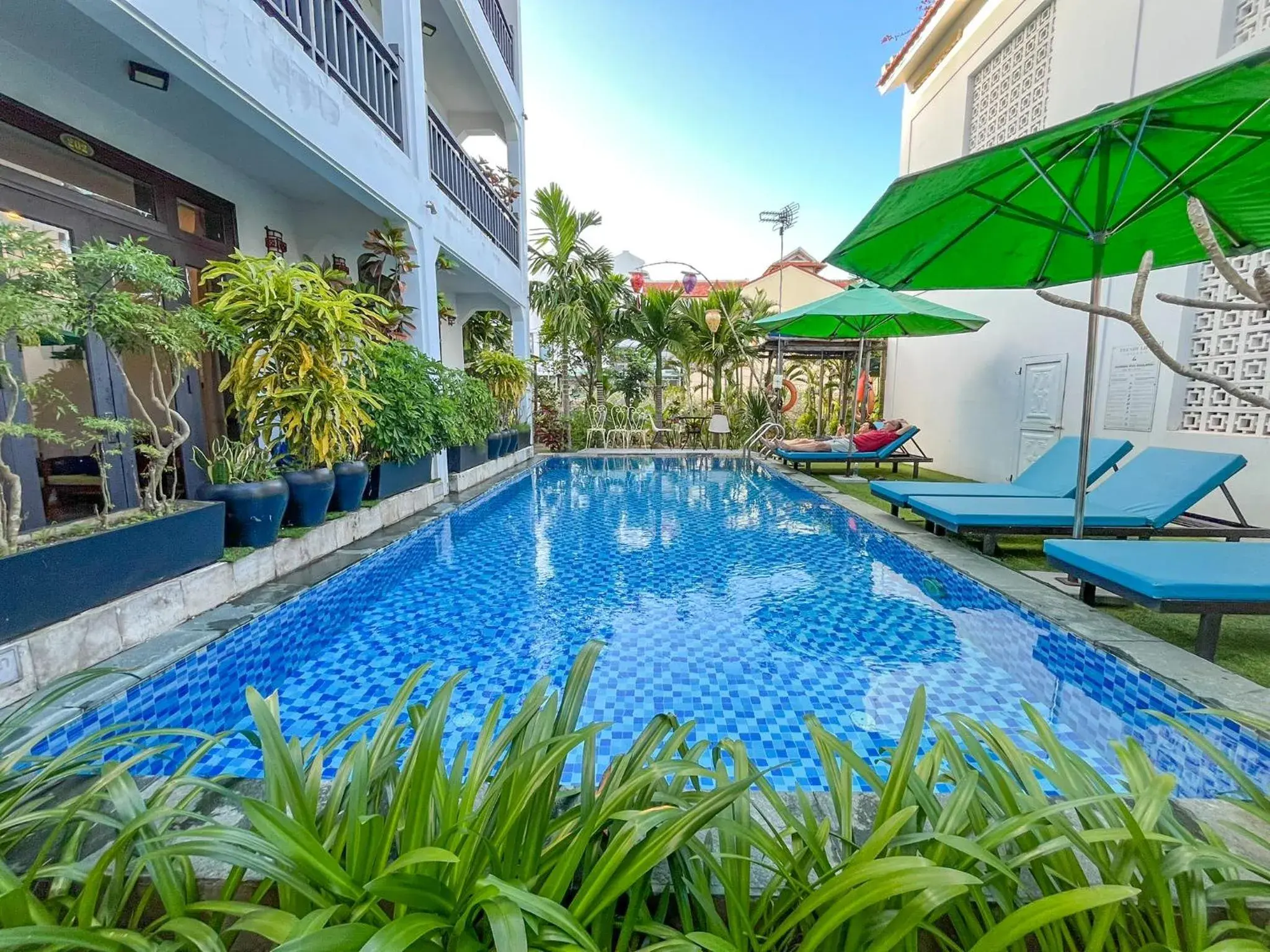 Garden, Swimming Pool in Trendy Life Villa