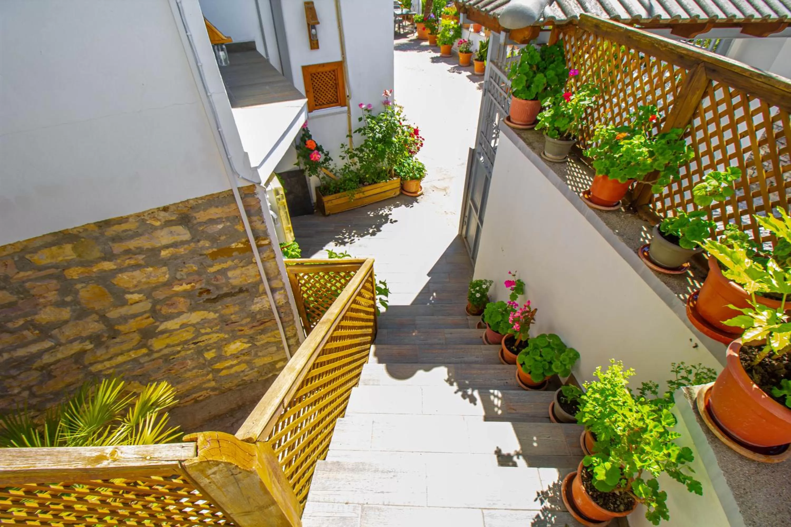 Hotel Bebej Tradicional