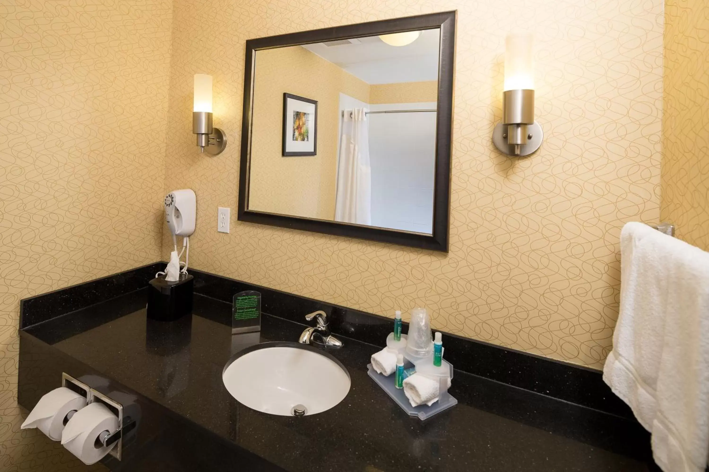 Bathroom in Holiday Inn Express and Suites Detroit North-Troy, an IHG Hotel