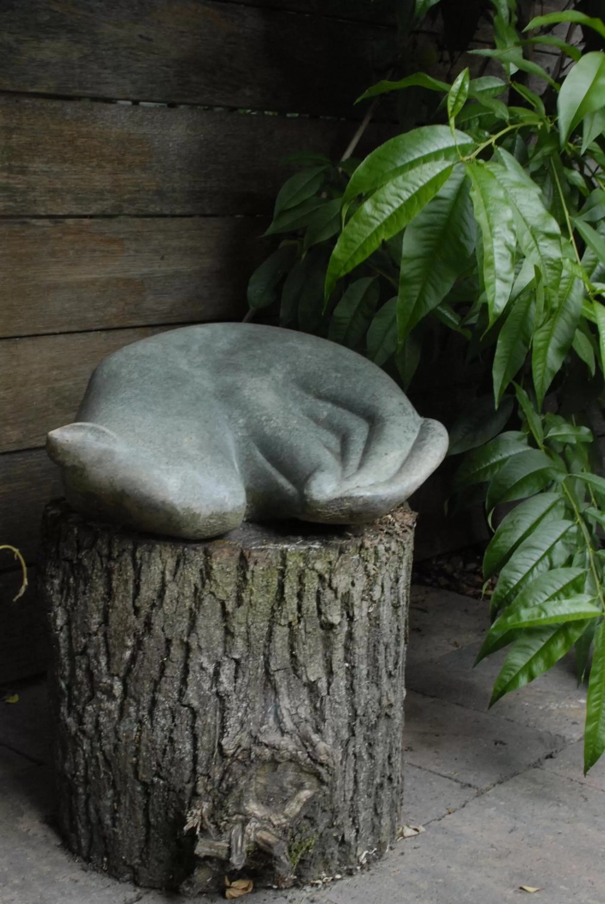 Garden, Other Animals in Studio Jan Steen