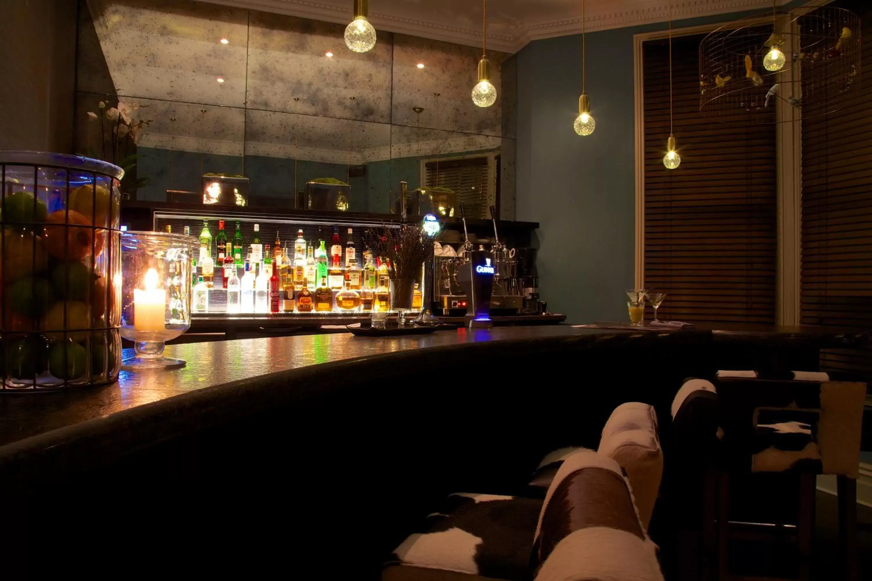 Drinks, Lounge/Bar in The Lodge Hotel - Putney