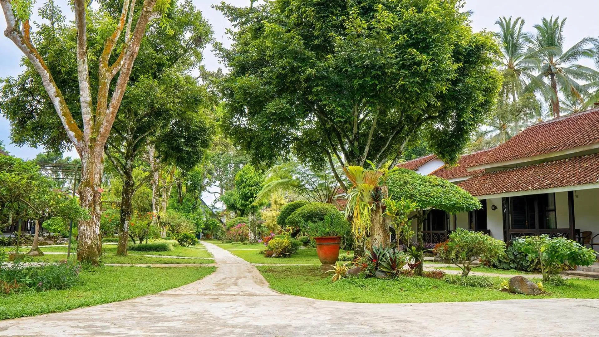 View (from property/room) in Margo Utomo Eco Resort