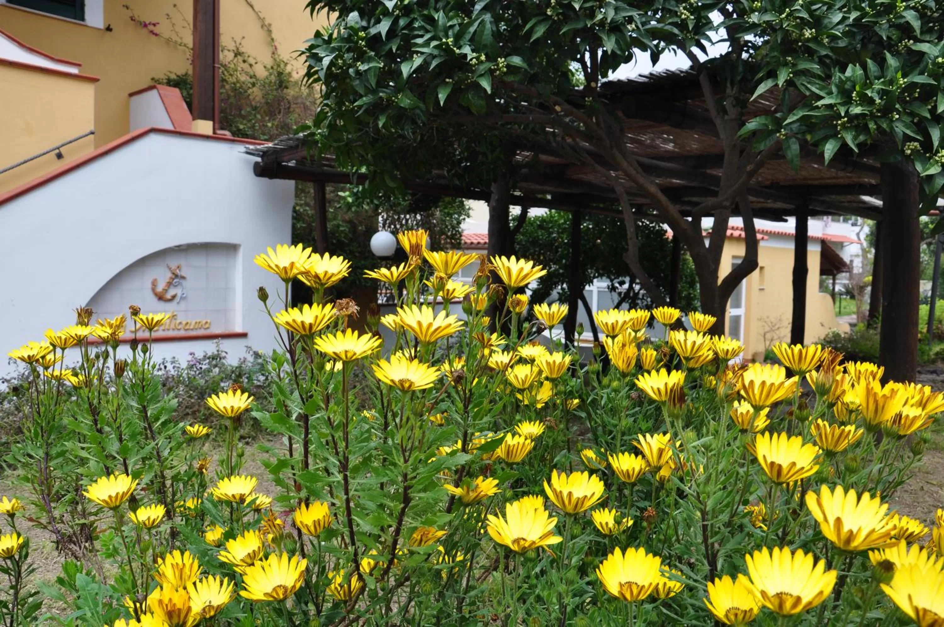 Garden in Hotel La Marticana