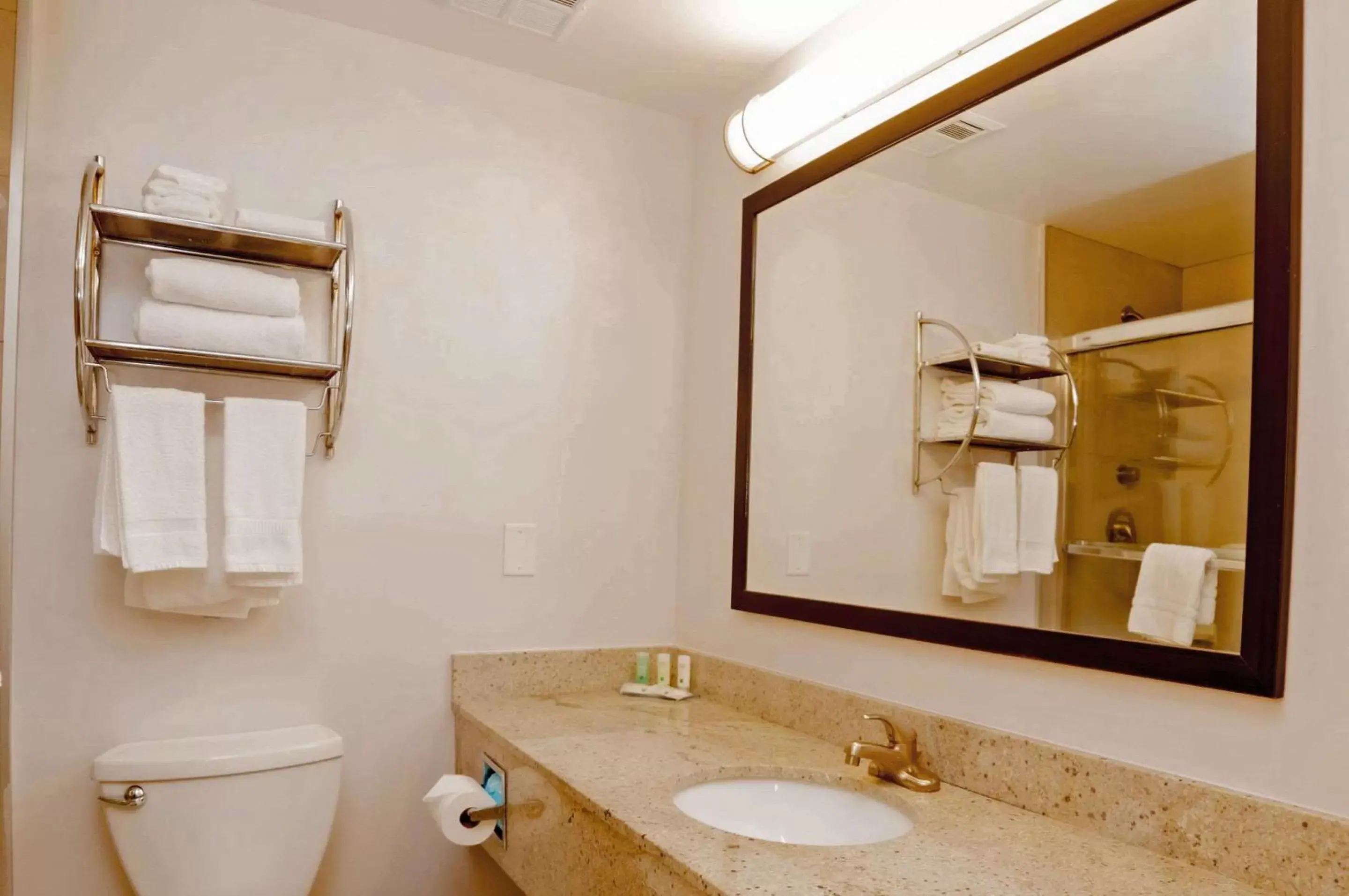 Bathroom in Quality Hotel Burlington