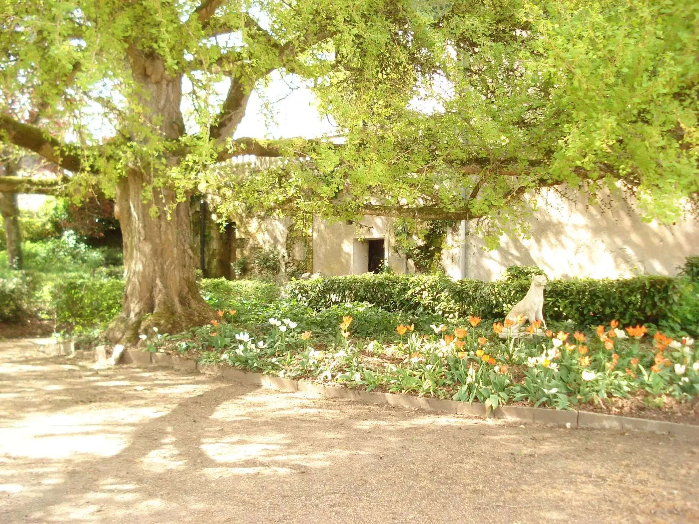 Property Building in Domaine de Planchoury