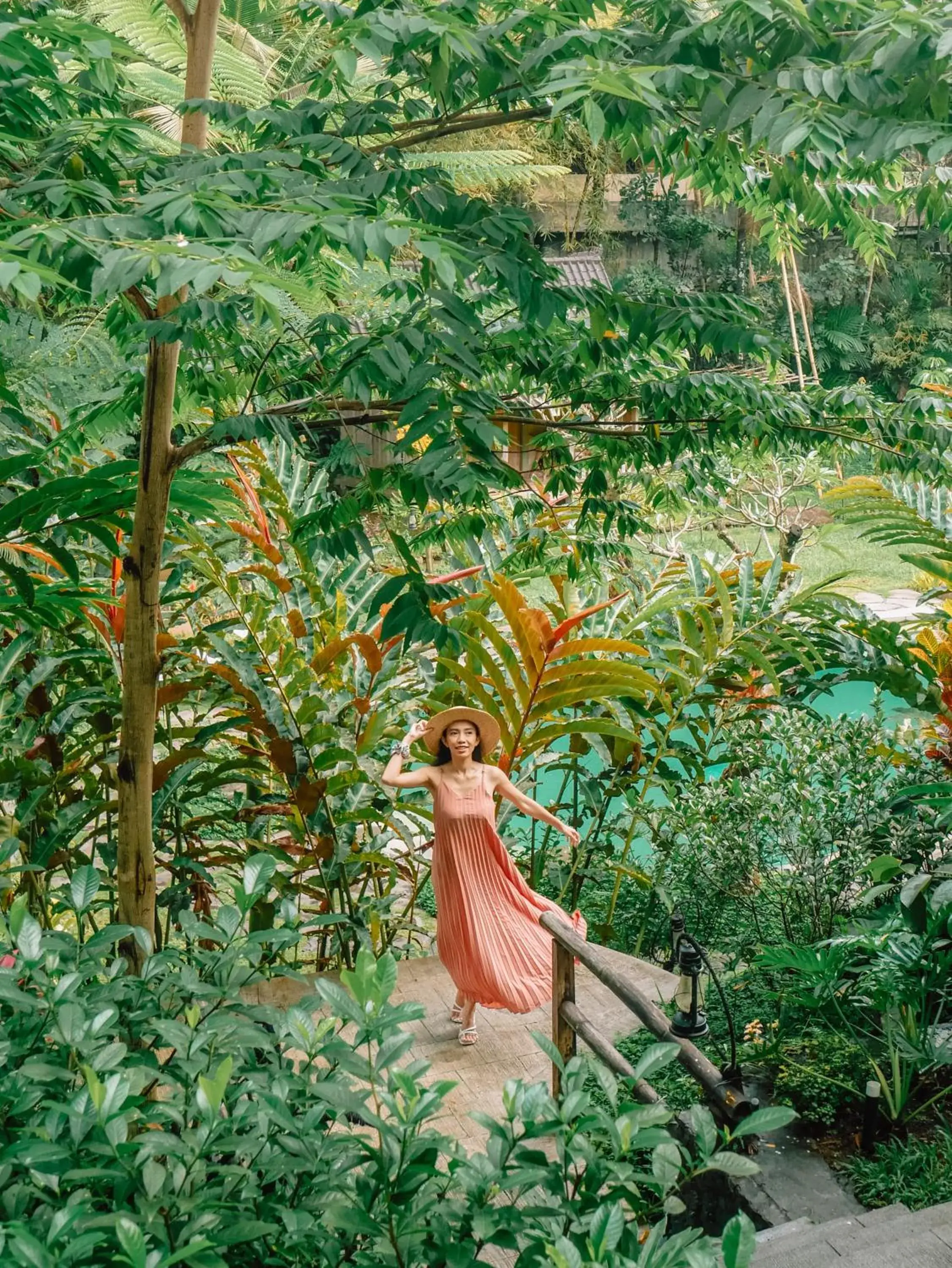 Garden view, Other Animals in Korurua Dijiwa Ubud