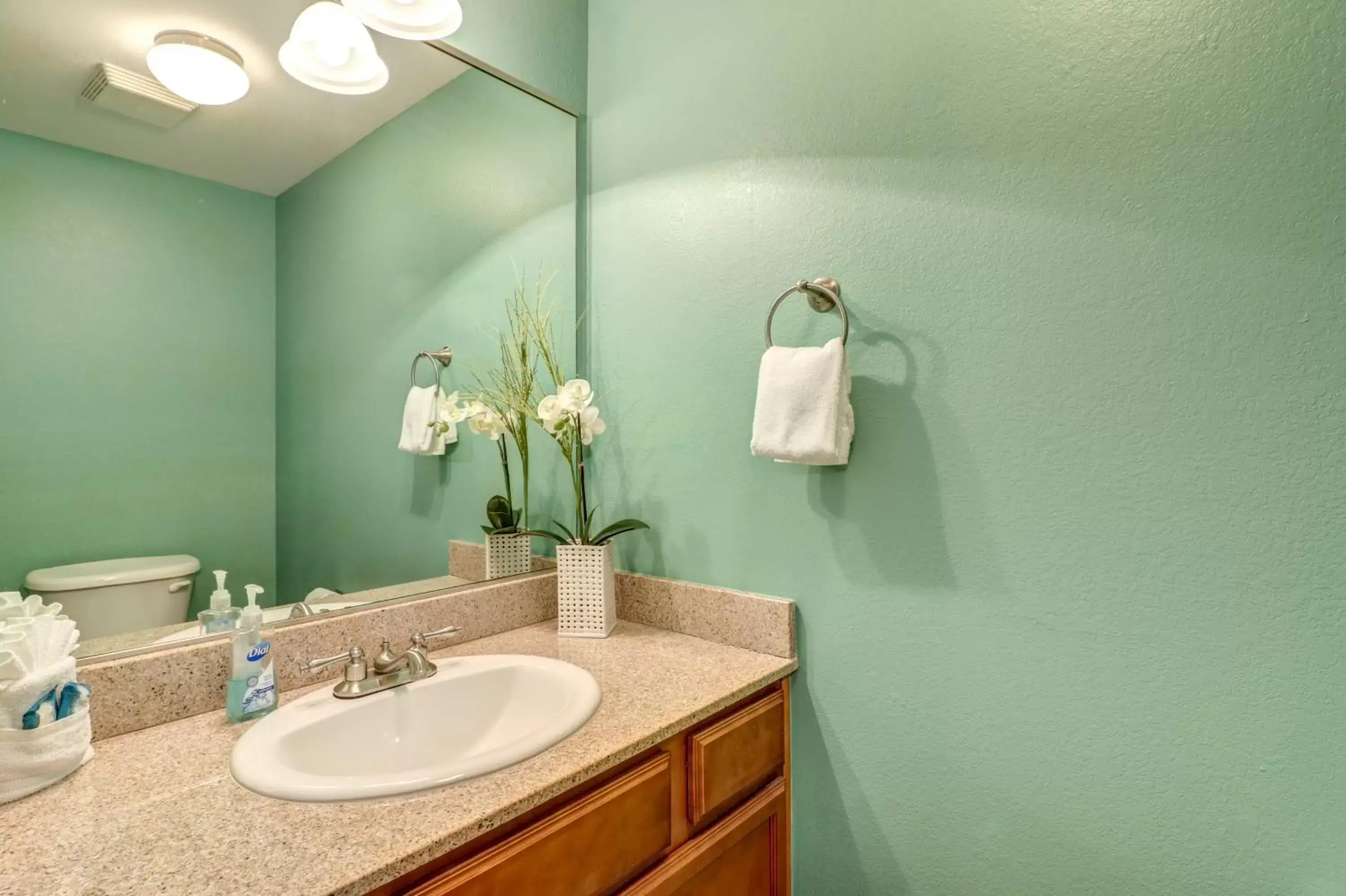 Bathroom in Richard's Retreat