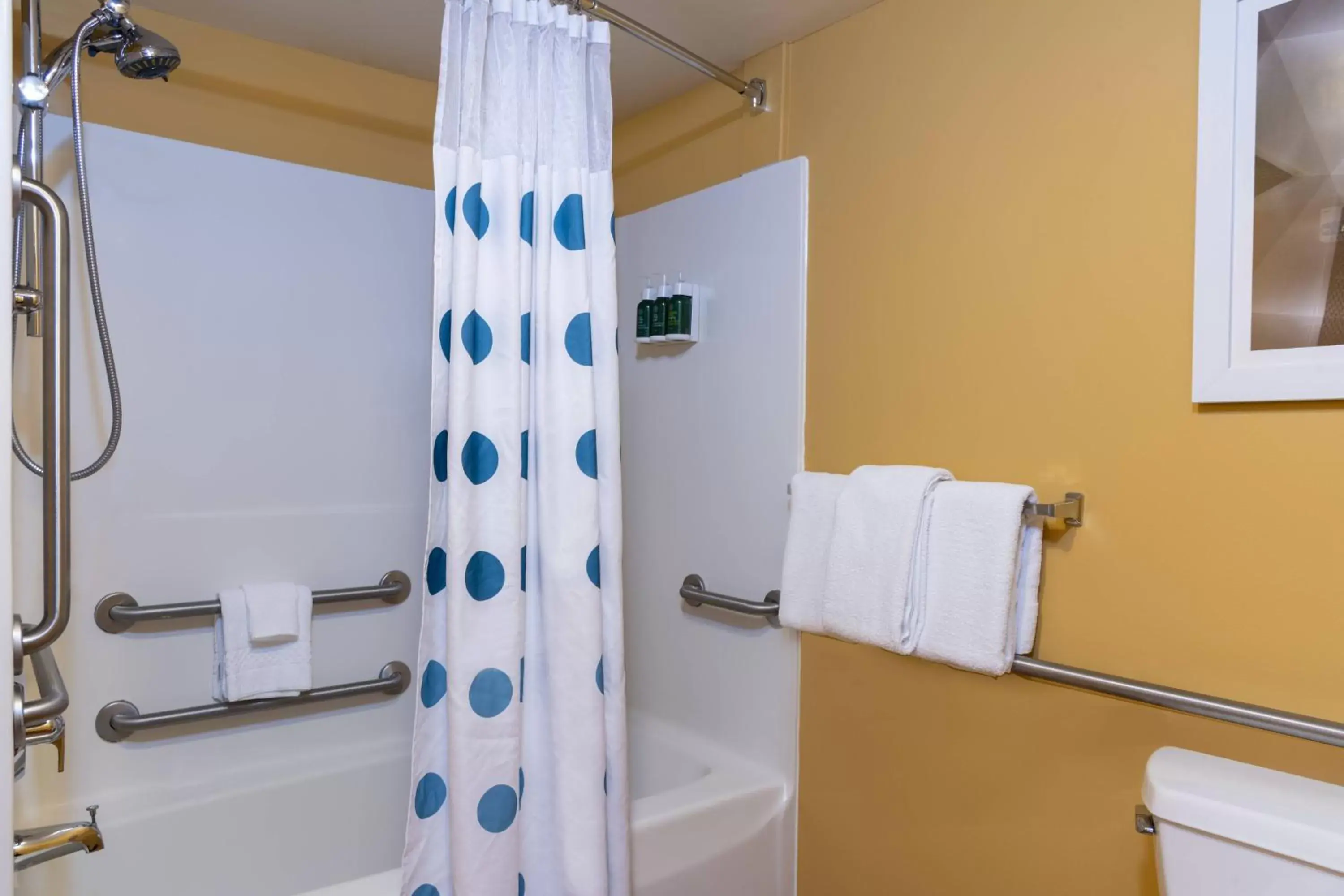Bathroom in TownePlace Suites by Marriott East Lansing