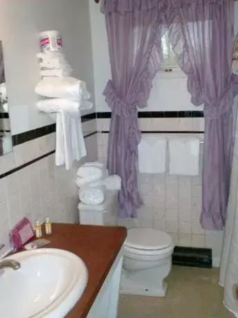 Bathroom in New Country Motel