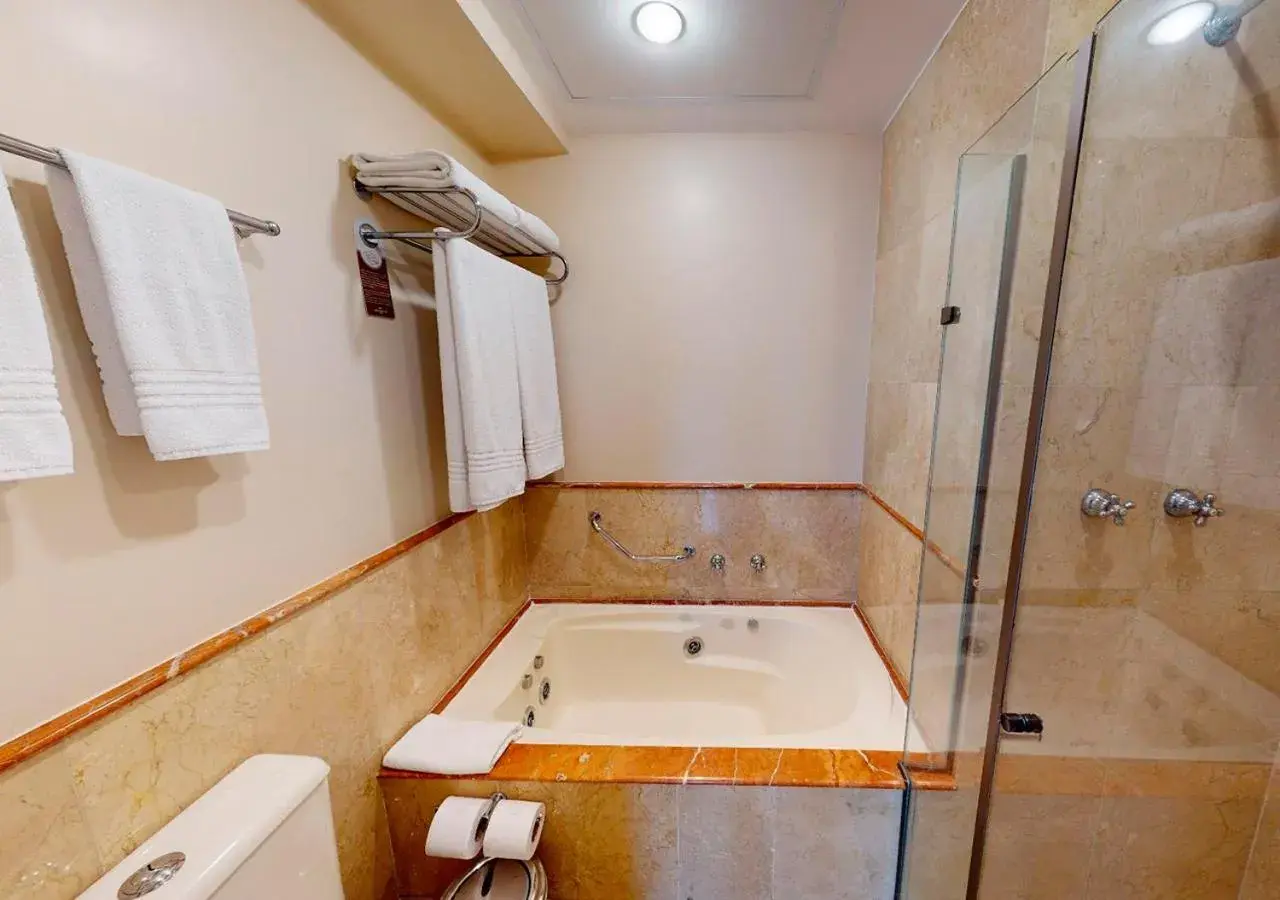 Hot Tub, Bathroom in Gran Estanplaza Berrini