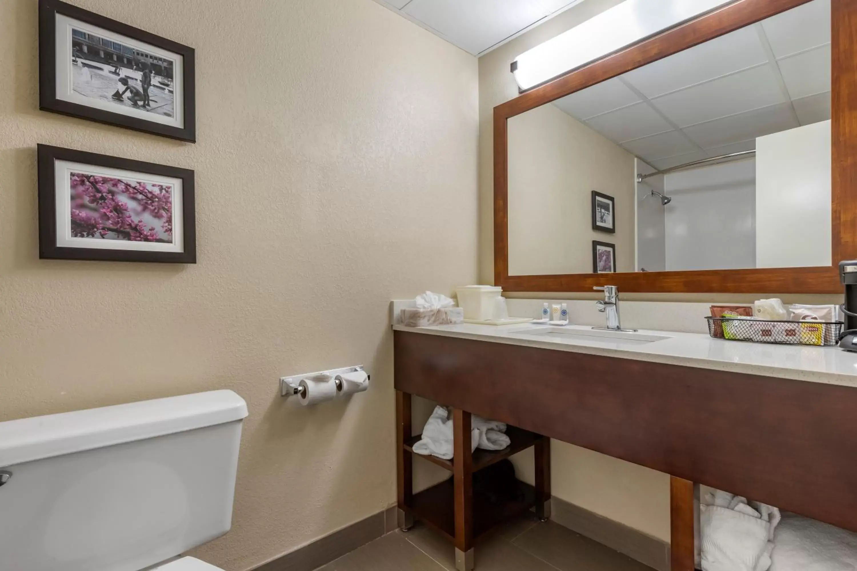 Bathroom in Comfort Inn Charlotte Airport Uptown