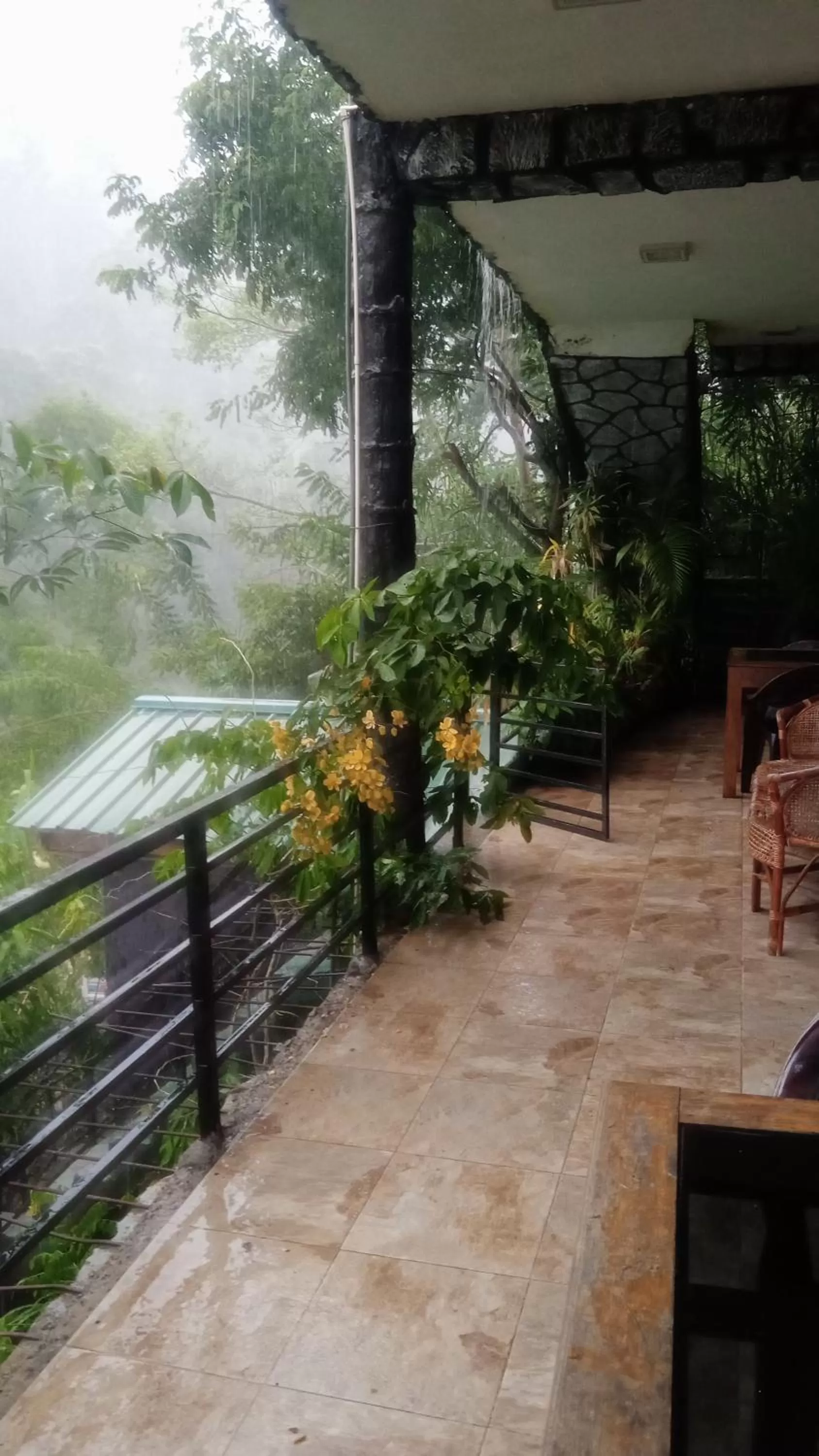 Ella Lucky Panoramic