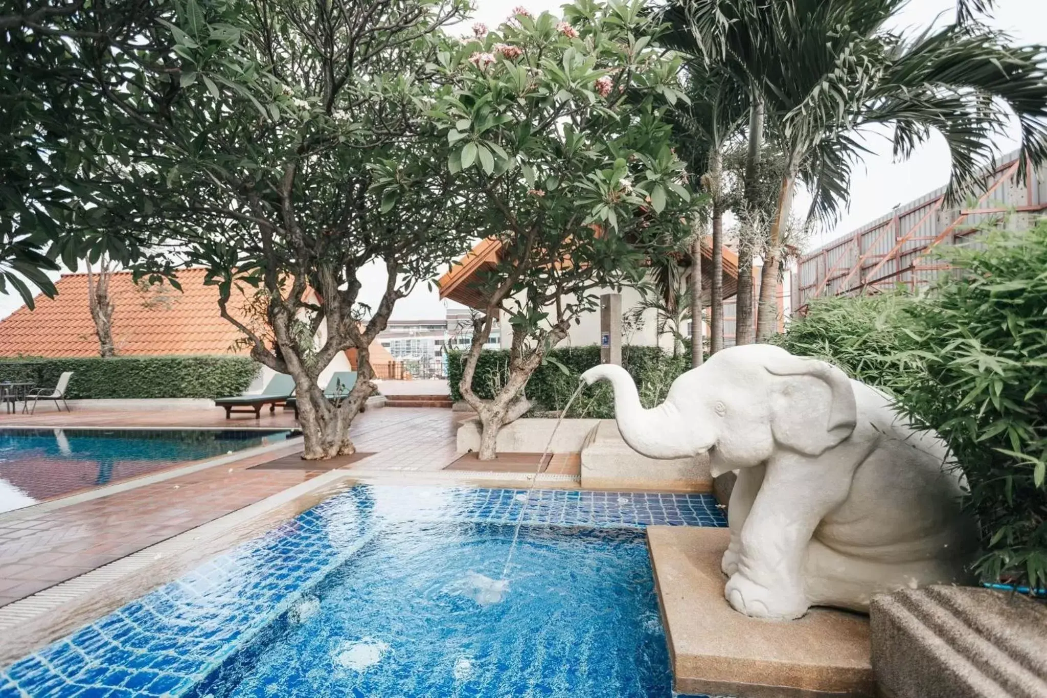 Natural landscape, Swimming Pool in Chiangmai Grandview Hotel & Convention Center - SHA Extra Plus