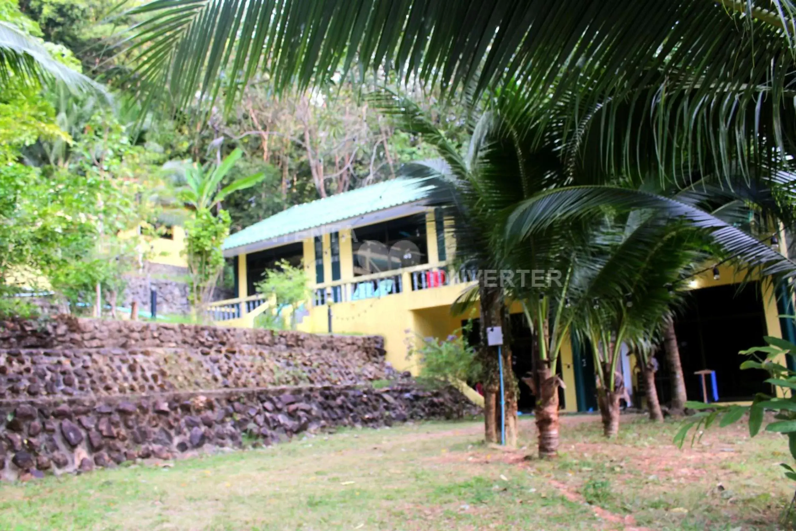 Property Building in Island Lodge