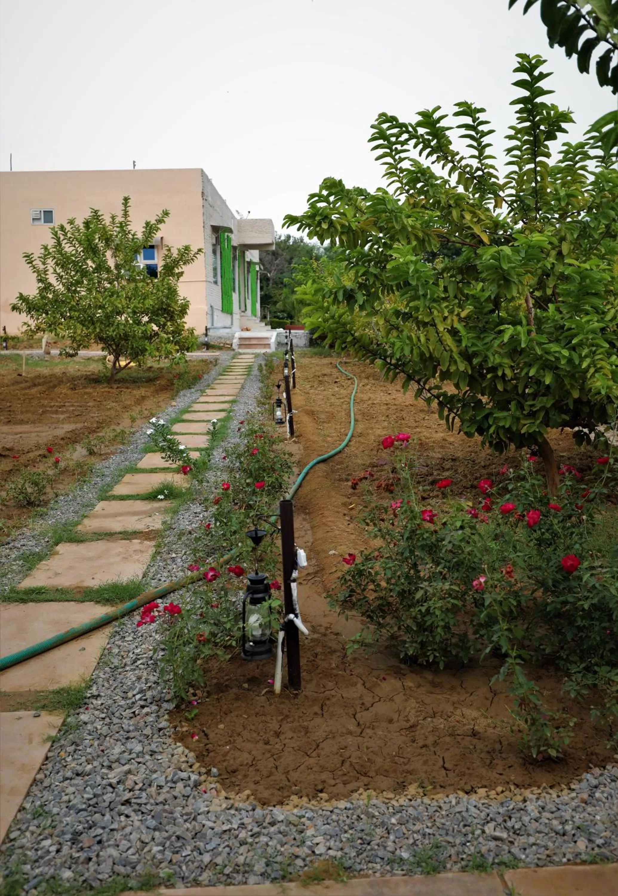 Property Building in Camp Paridhi Ranthambhore, Homestay