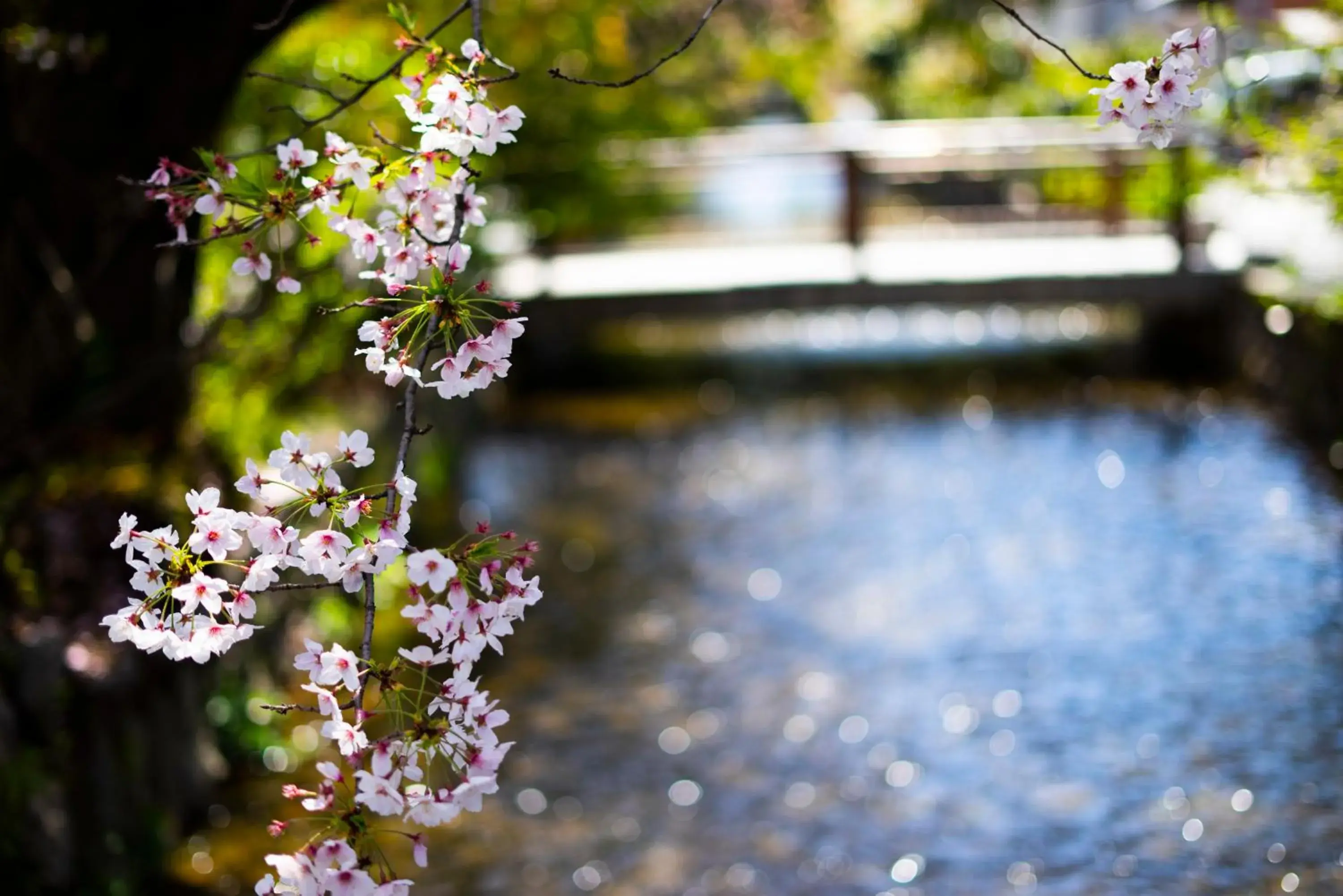 Natural landscape in Kyoto Takasegawa Bettei