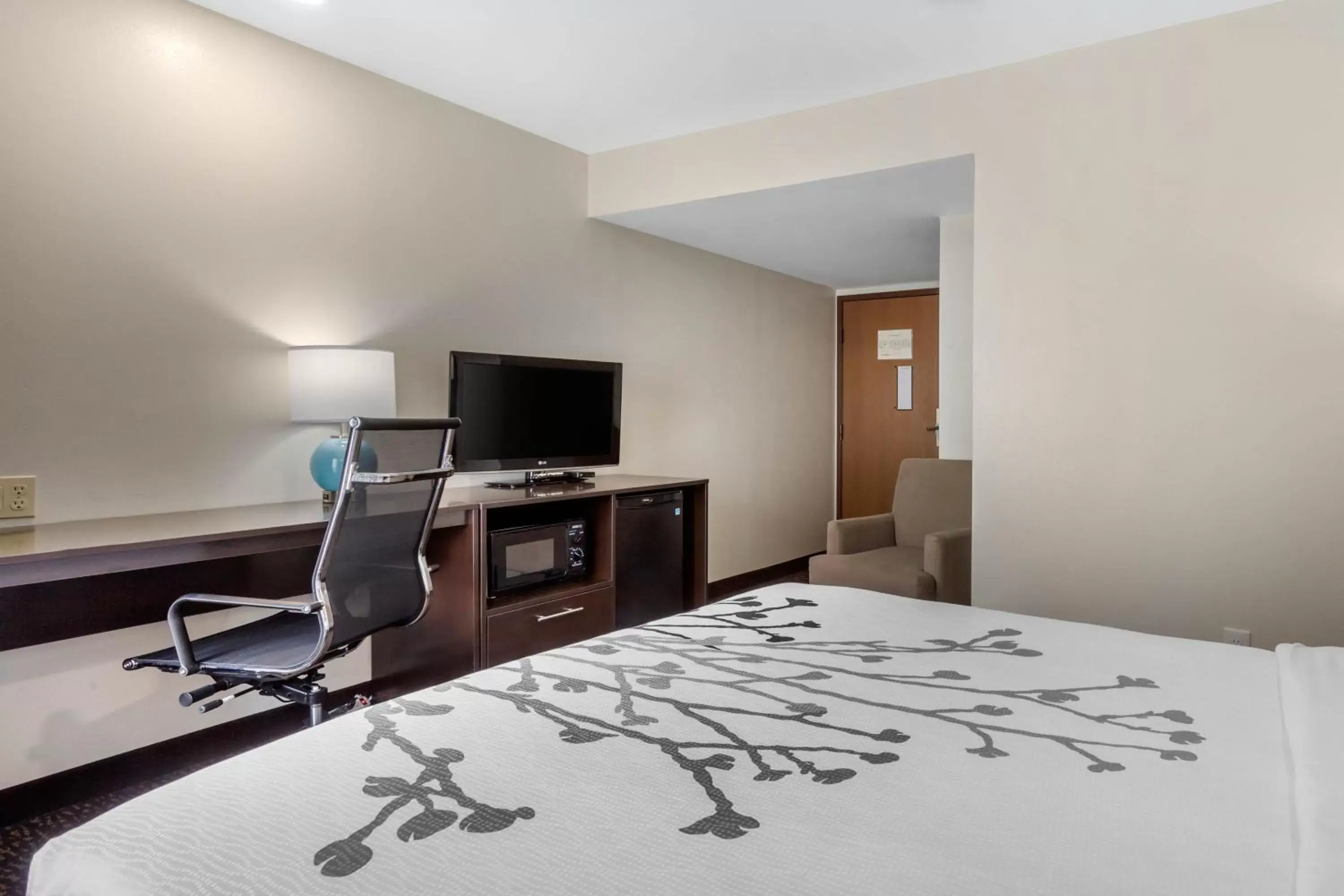 Bedroom, TV/Entertainment Center in Sleep Inn & Suites Johnson City