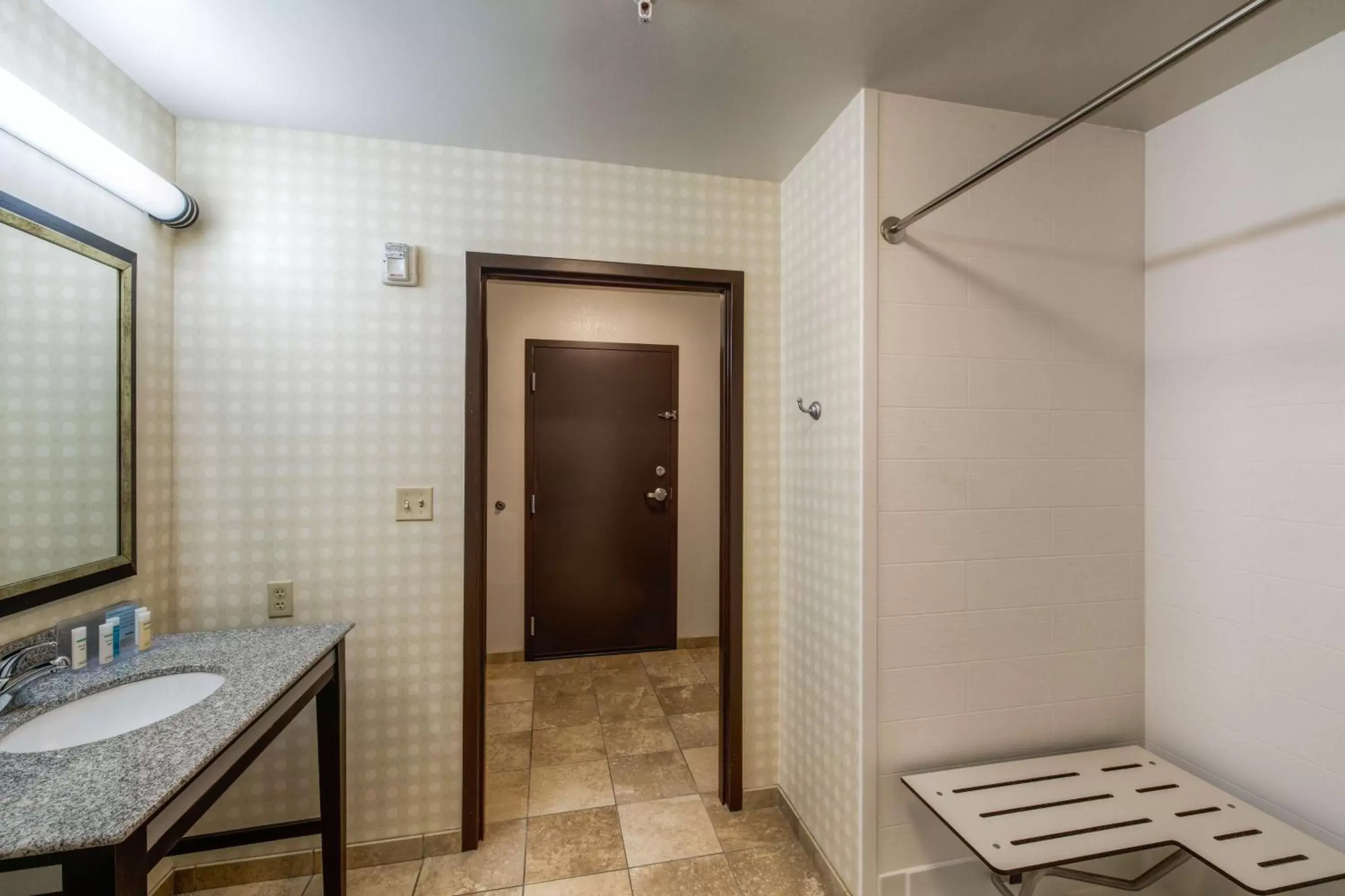 Bathroom in Hampton Inn & Suites Detroit/Airport Romulus