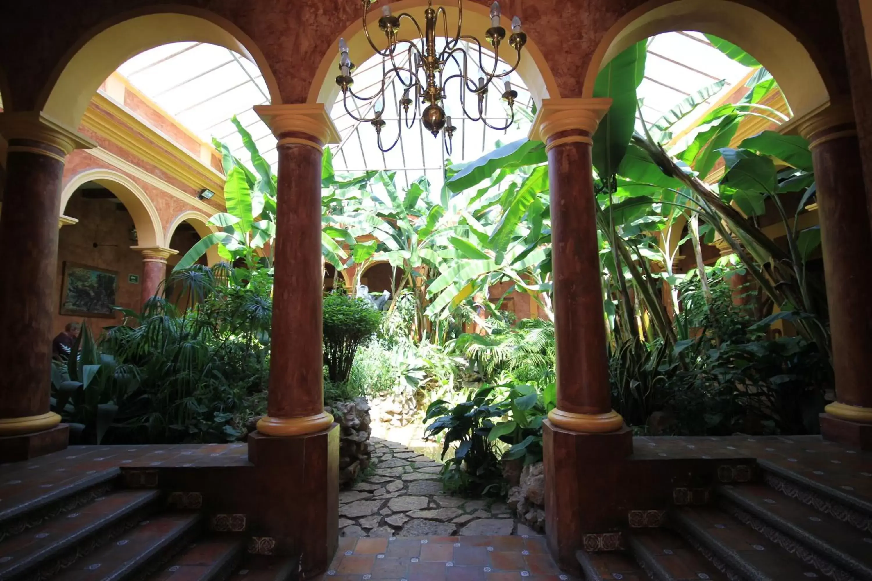 Natural landscape in Hotel Casa Mexicana