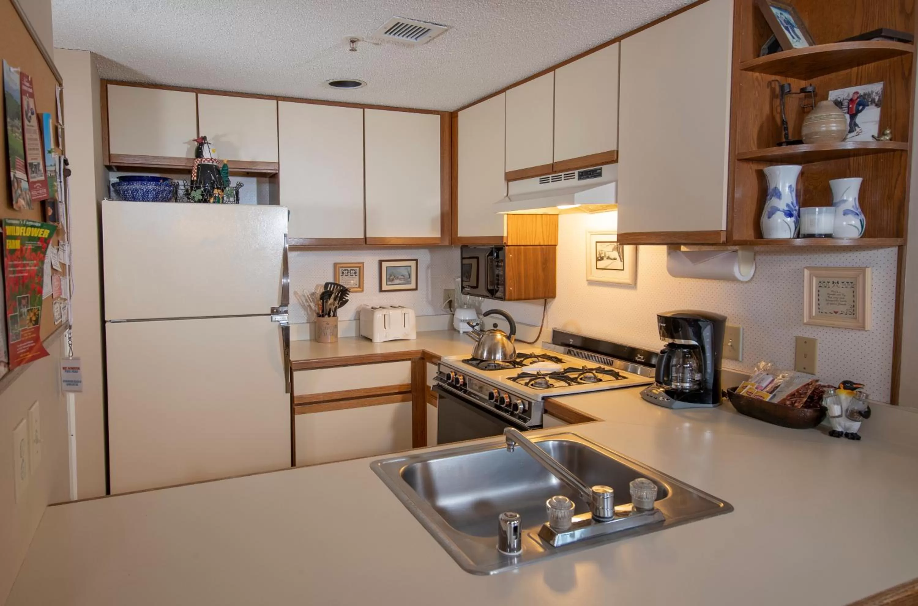 Winterplace on Okemo Mountain