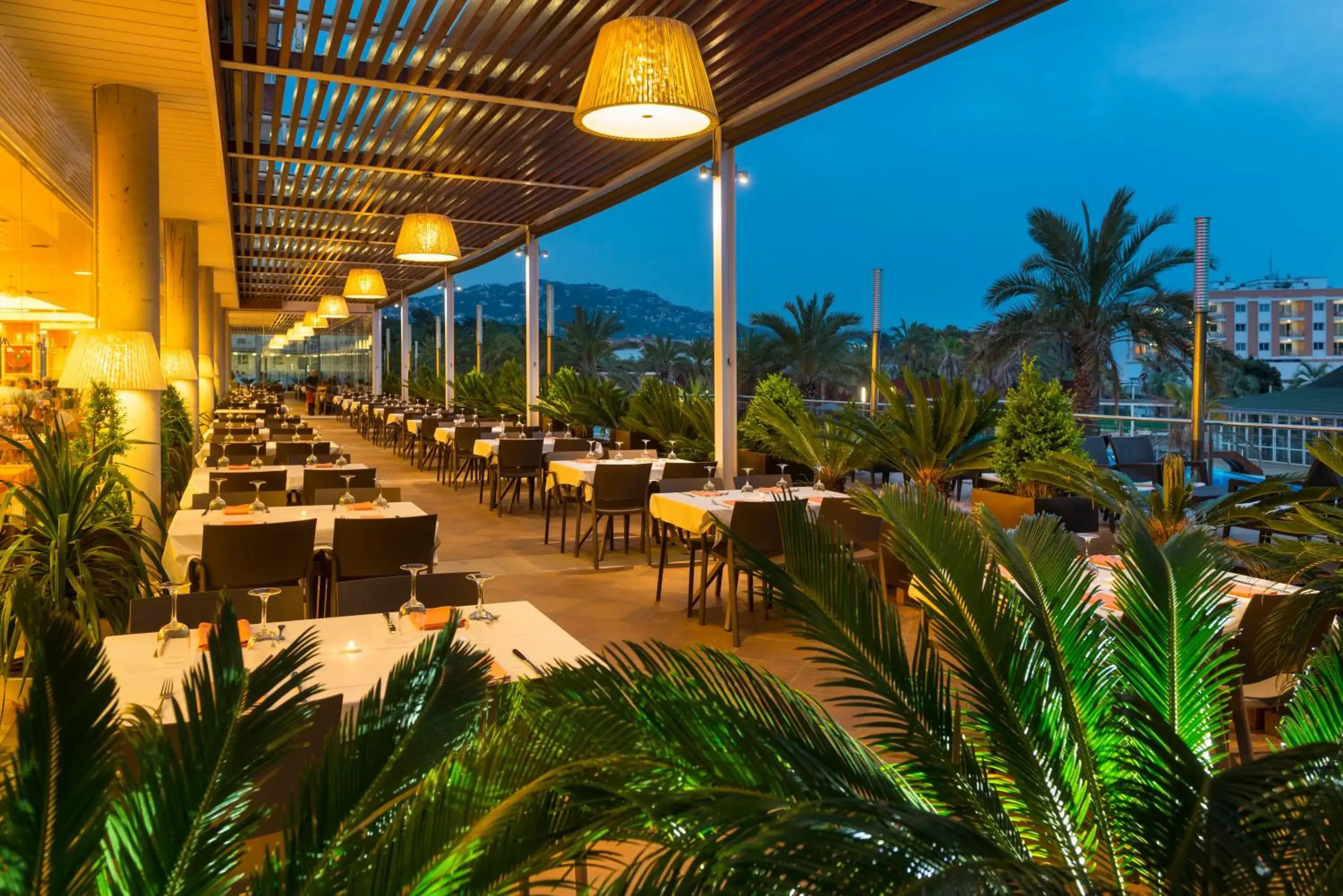 Restaurant/places to eat in Aparthotel Costa Encantada Restaurant/places to eat in Aparthotel Costa Encantada