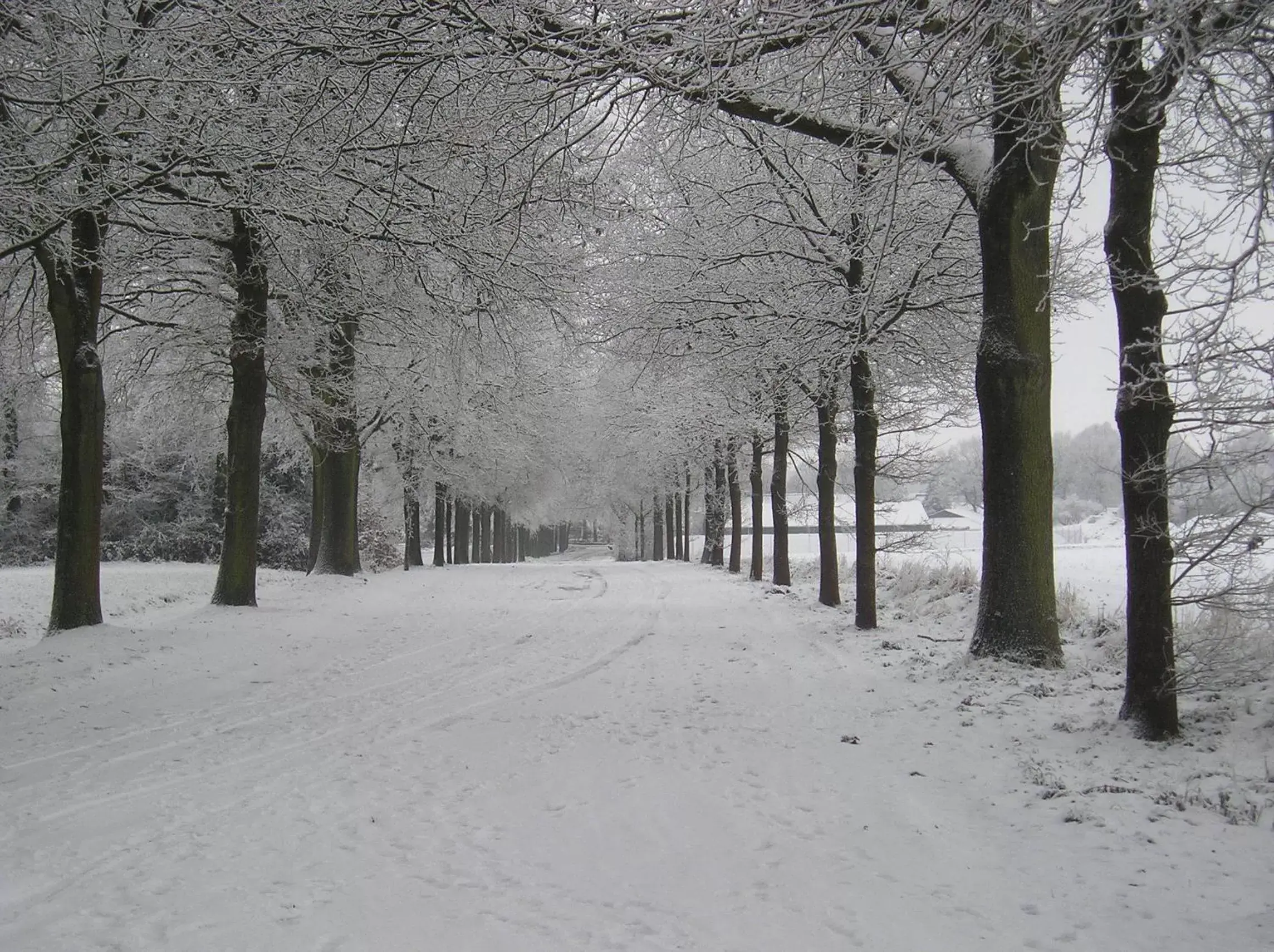 Area and facilities, Winter in 't Rond Bargie