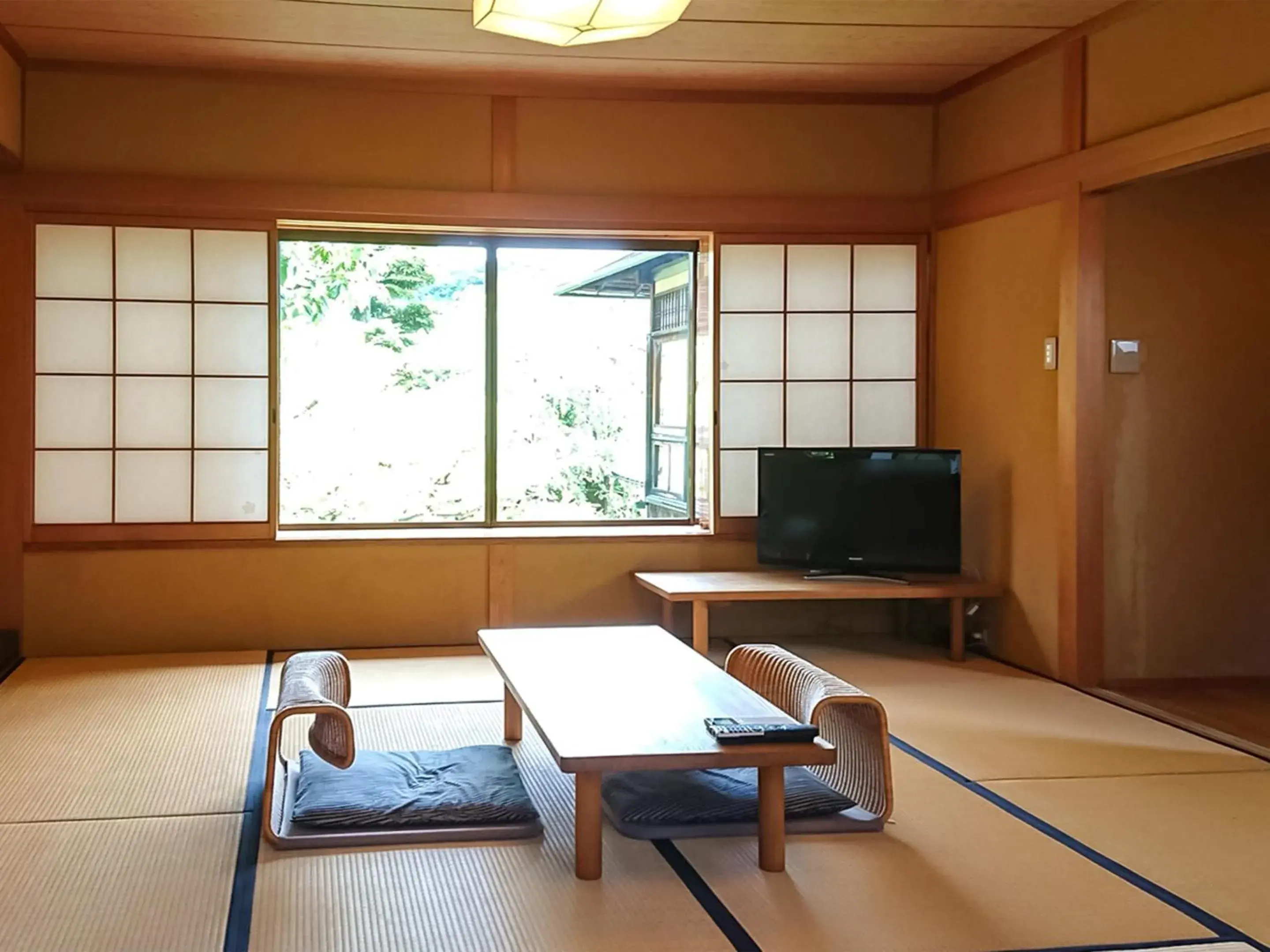 Photo of the whole room, Seating Area in Ryokan Genhouin