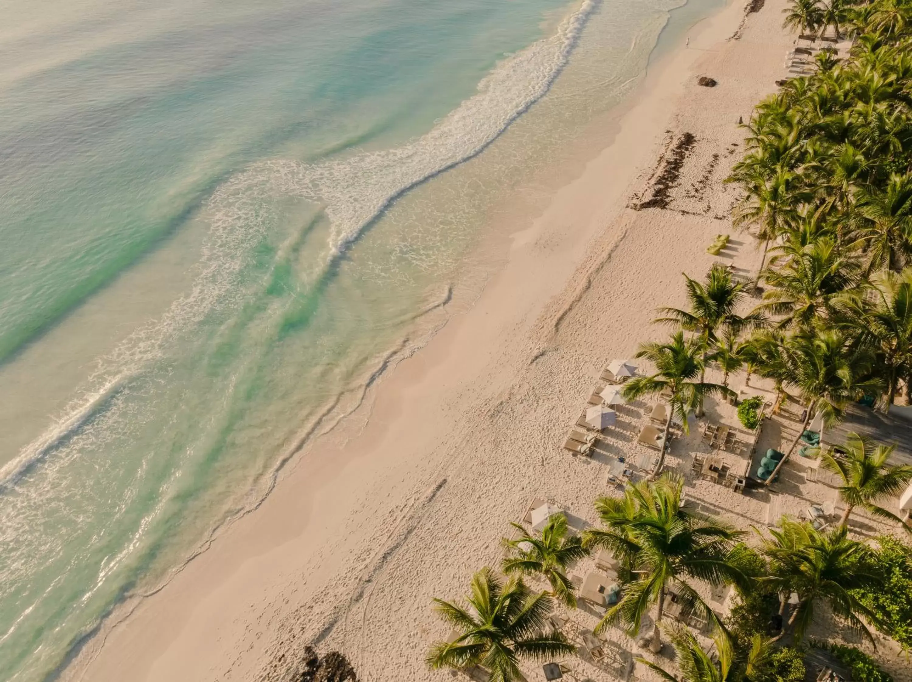 Beach in Chiringuito Tulum