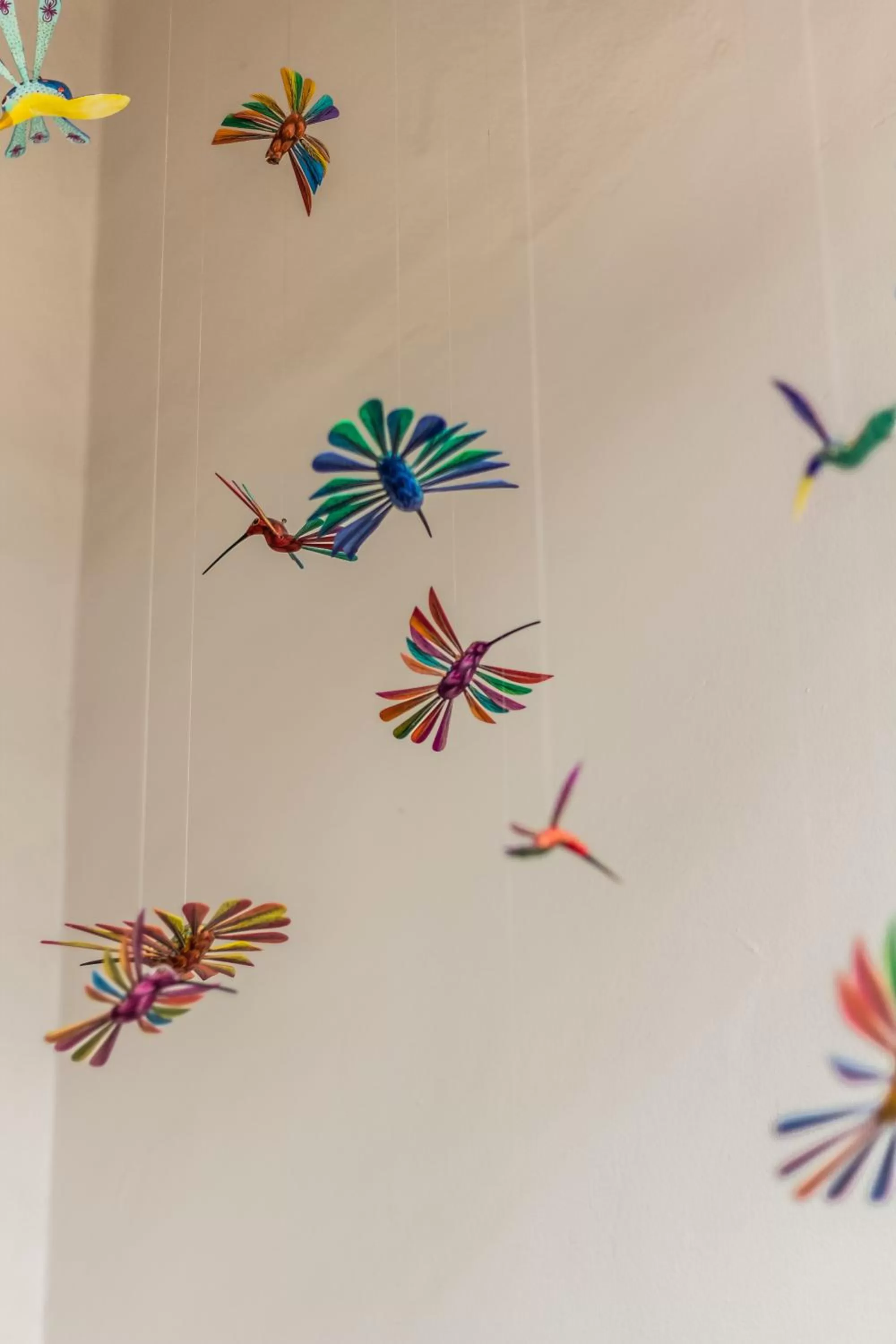 Decorative detail in Casa Jose Maria