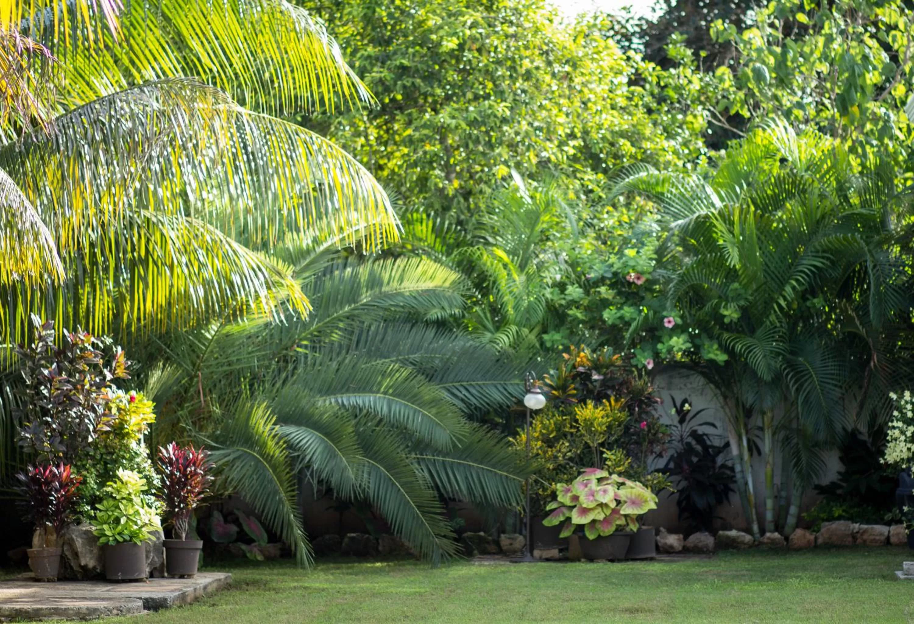 Garden view in Hotel Hacienda de Izamal