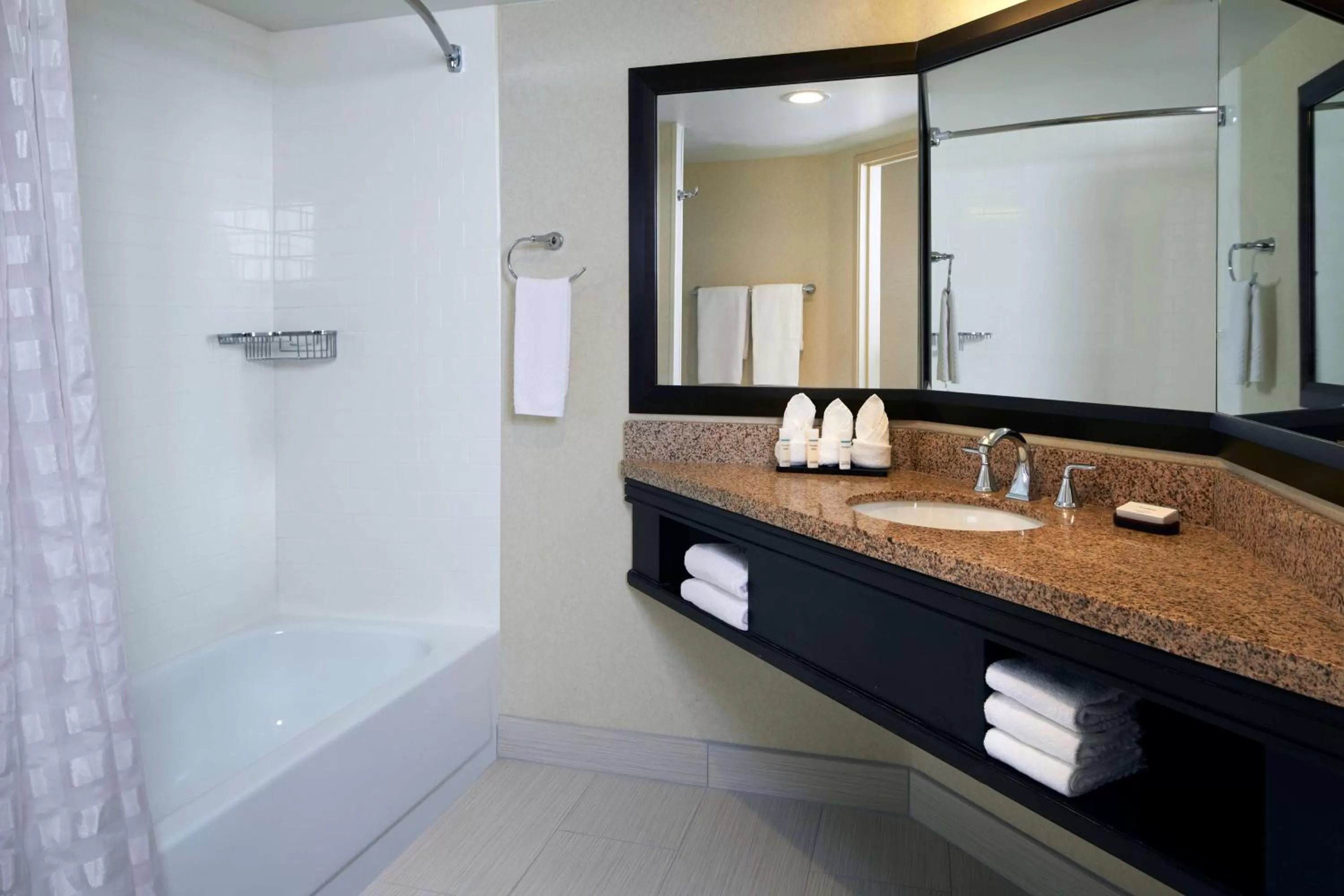 Bathroom in Embassy Suites Los Angeles - International Airport/North