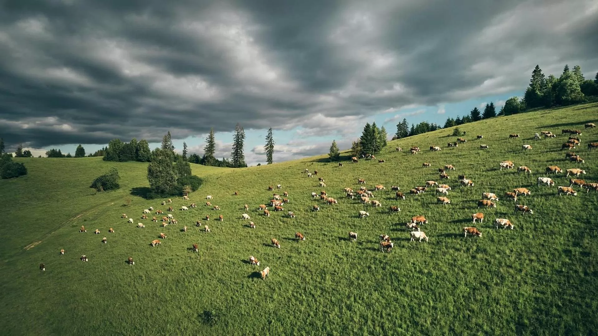 Restaurant/places to eat in SKI CIERNY BALOG