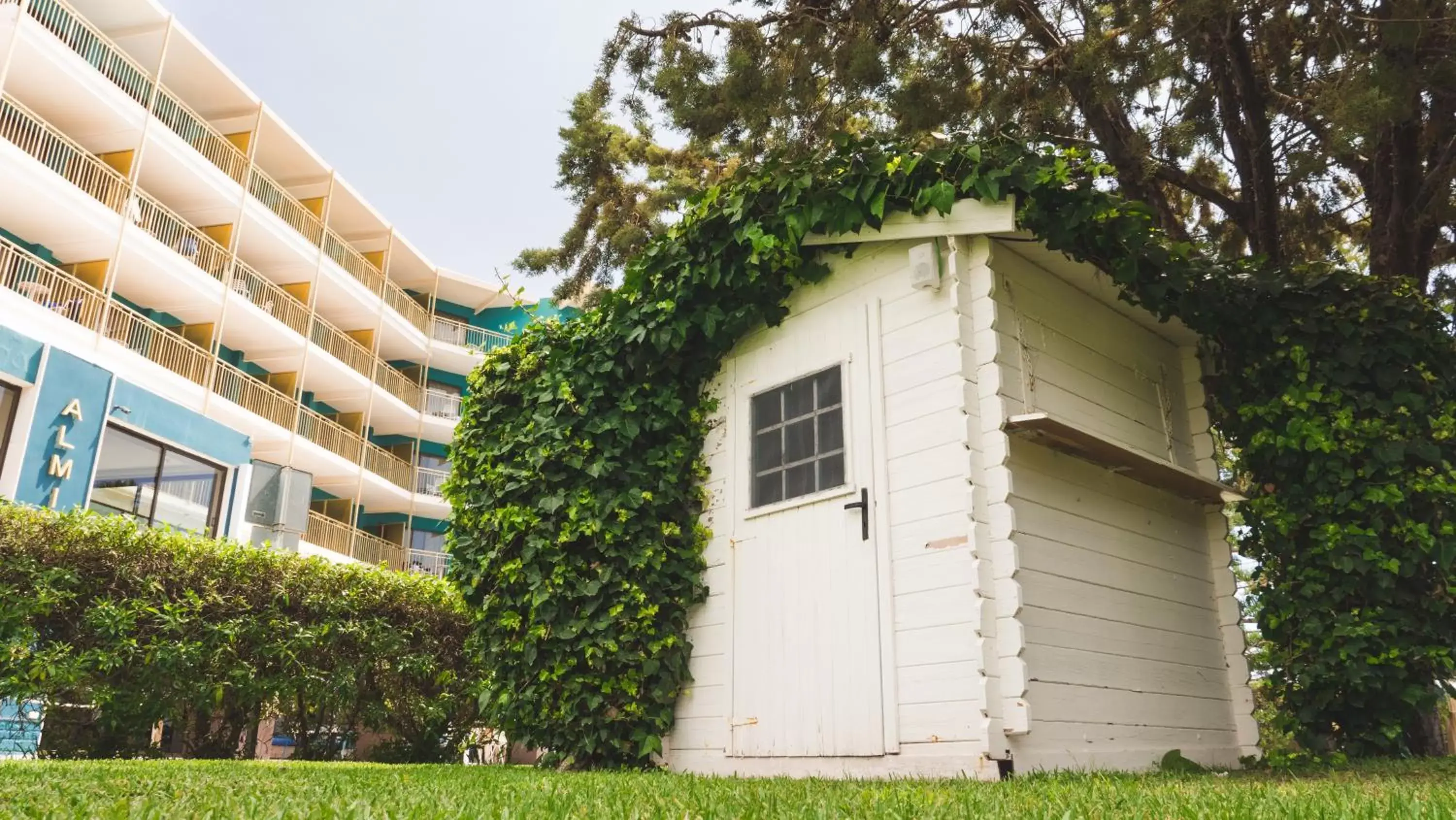 Garden, Property Building in Hotel Almirante