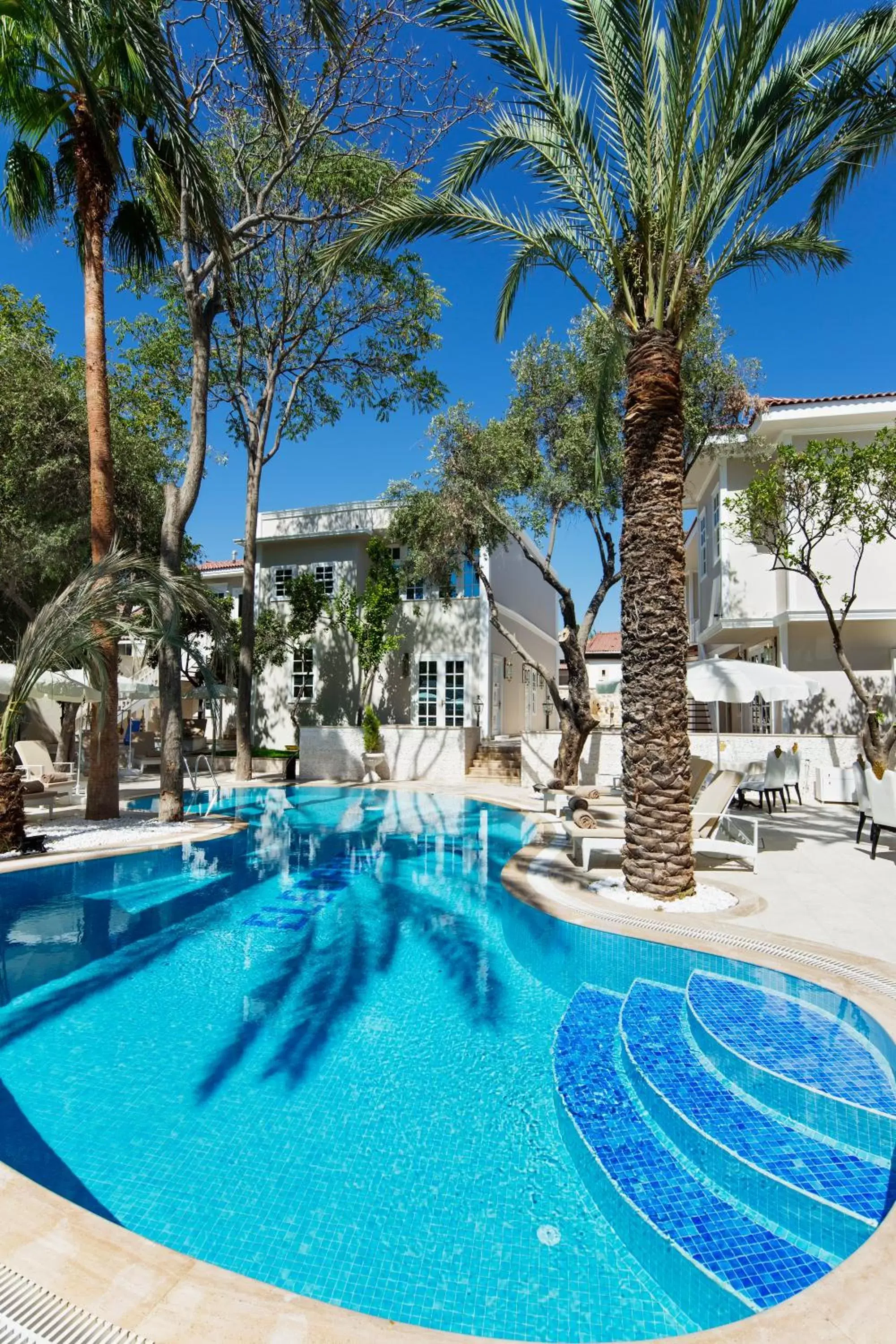 Swimming Pool in Elegance East Hotel