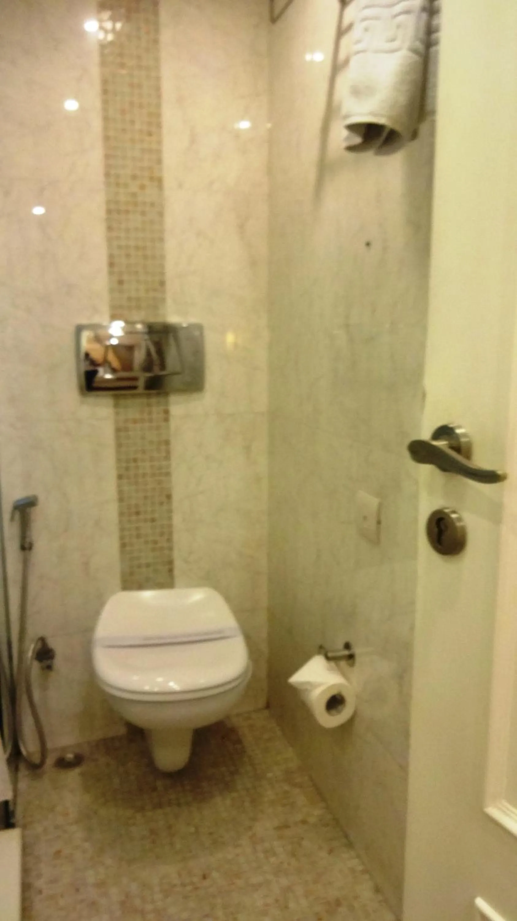 Toilet in Hotel Bright