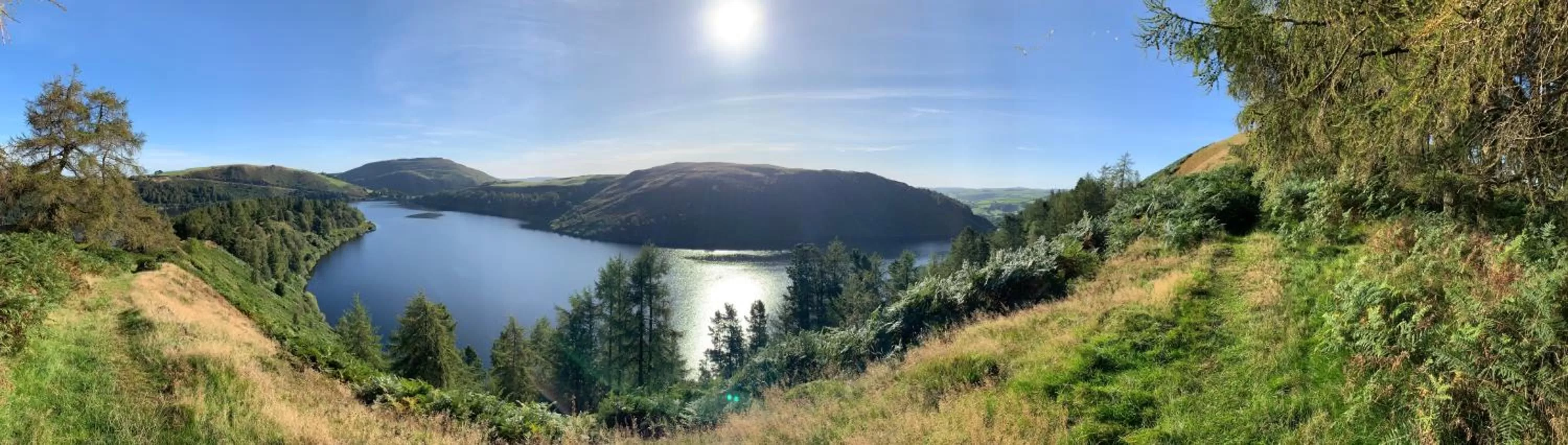 Natural landscape in Ty Capel