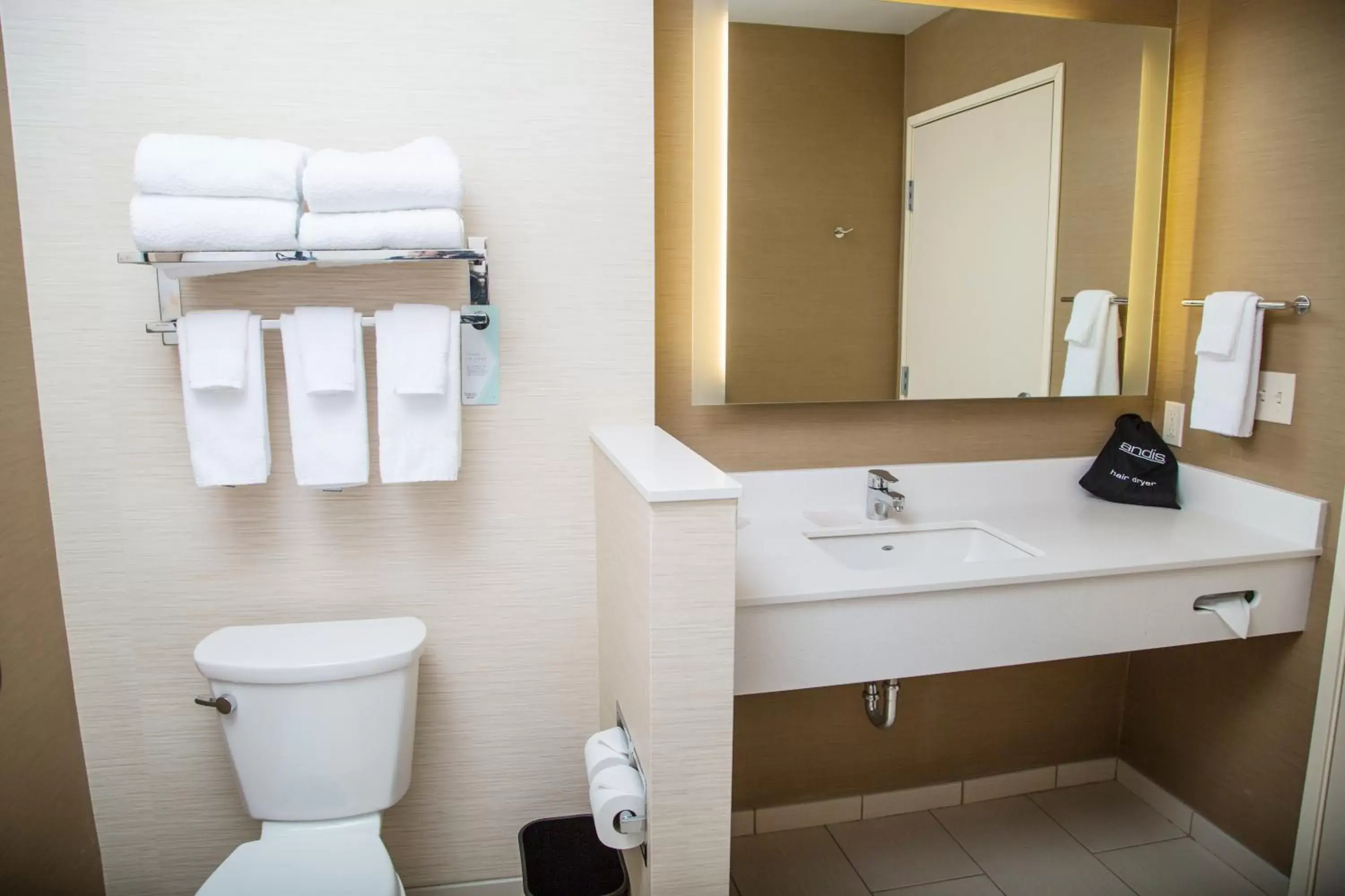 Bathroom in Fairfield Inn & Suites by Marriott Pocatello