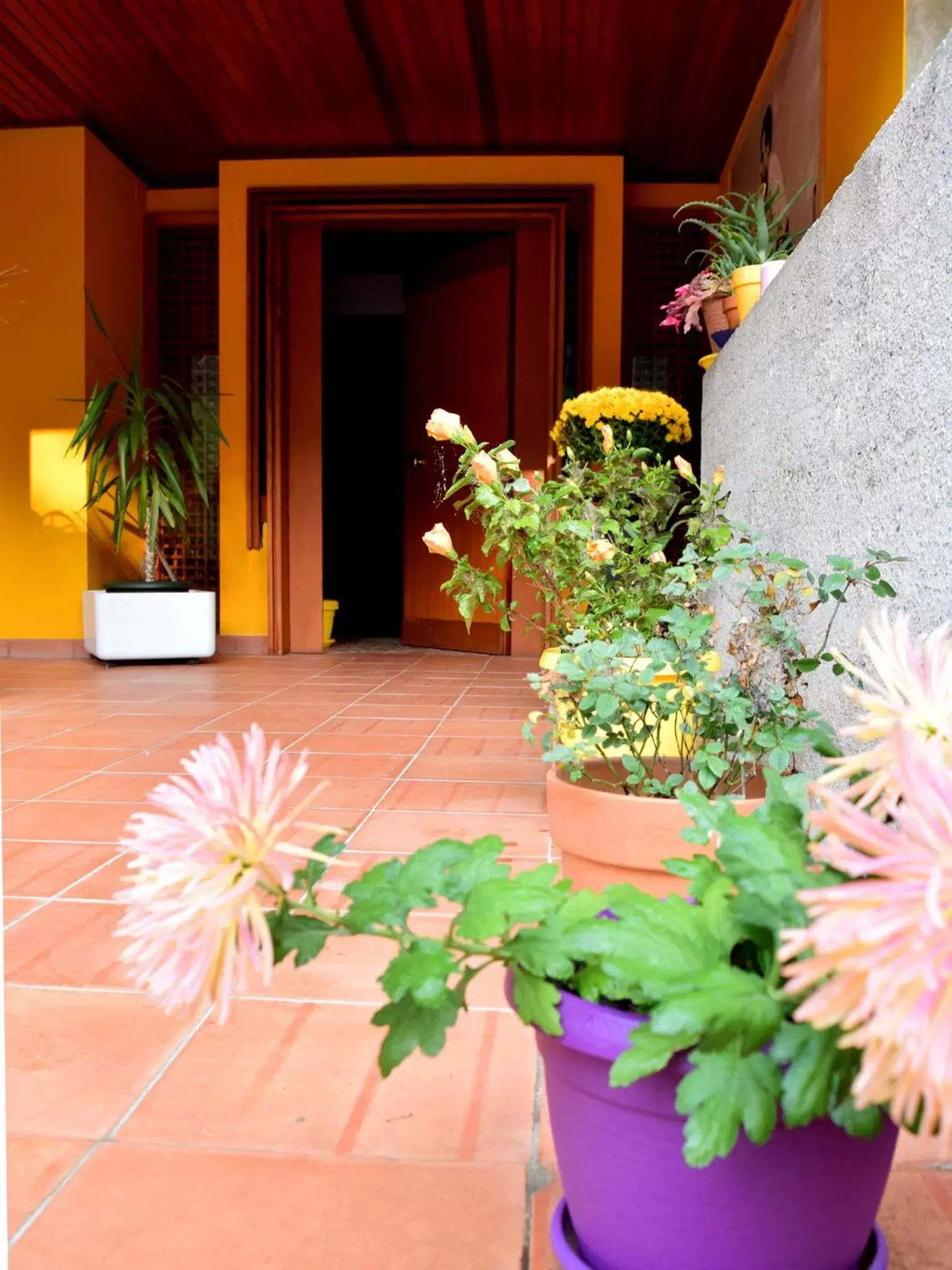 Facade/entrance in Tarcisio B&B