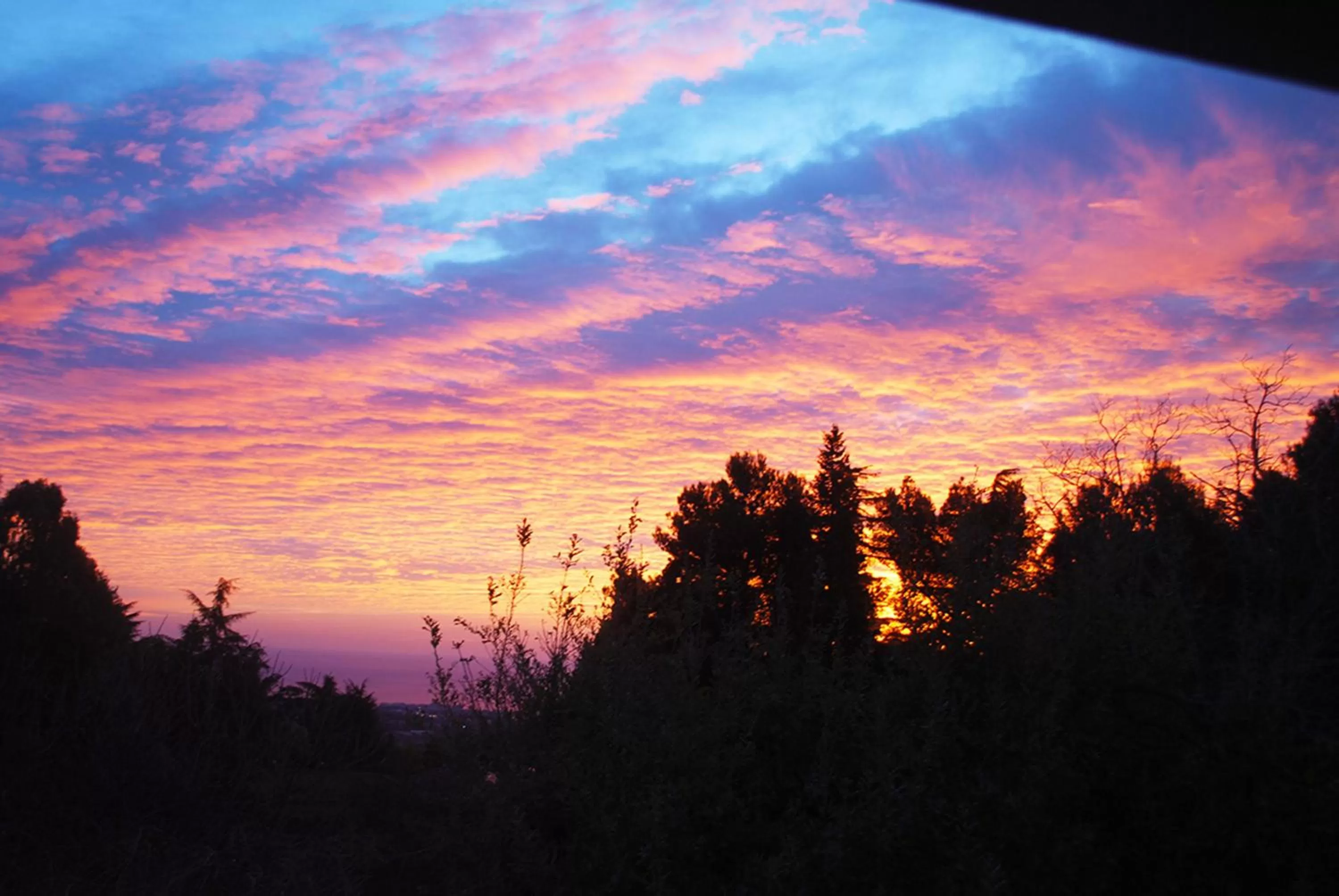 Natural landscape in Case Zuccaro