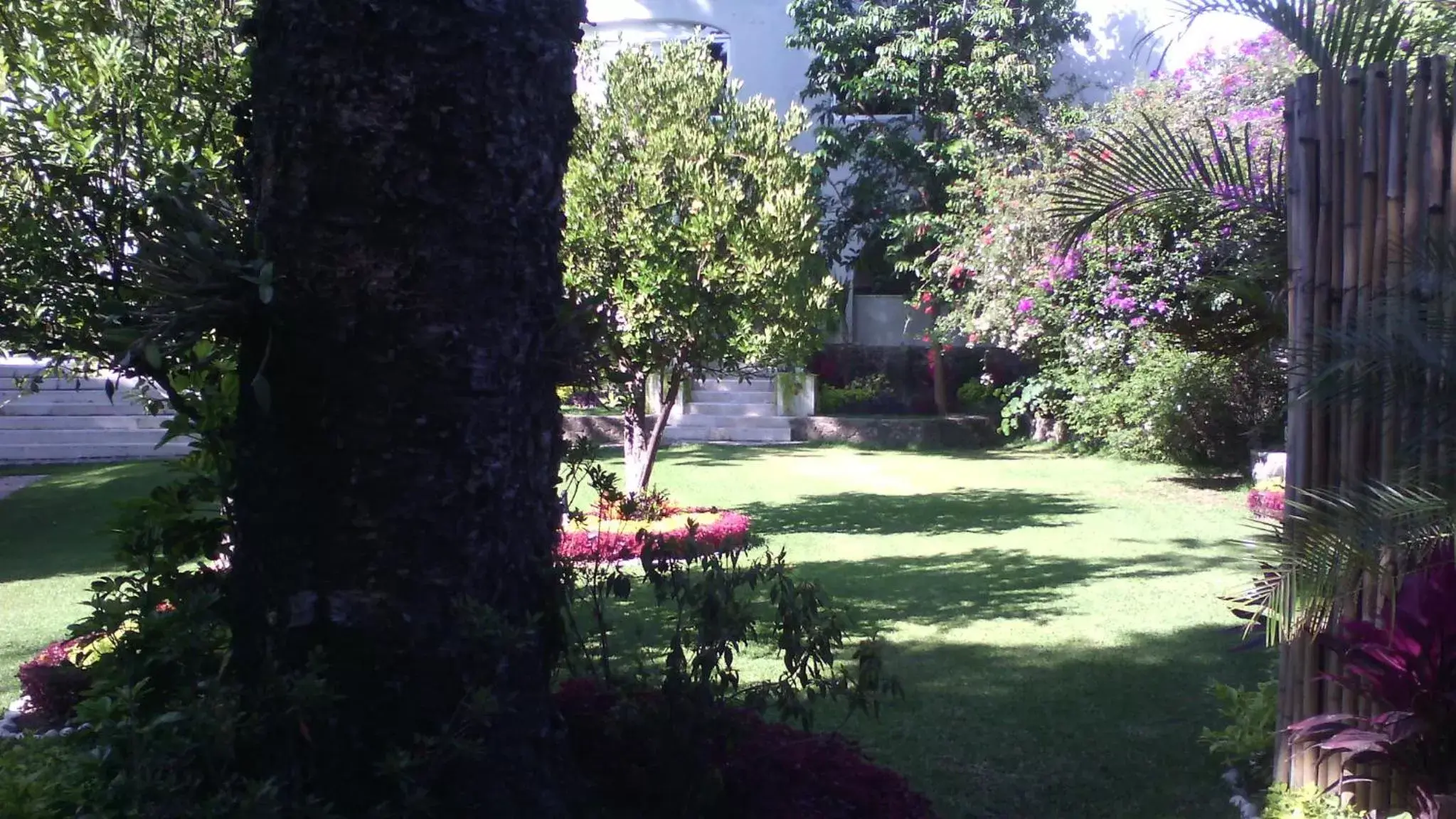 Day, Garden in Casa Tepoztlán