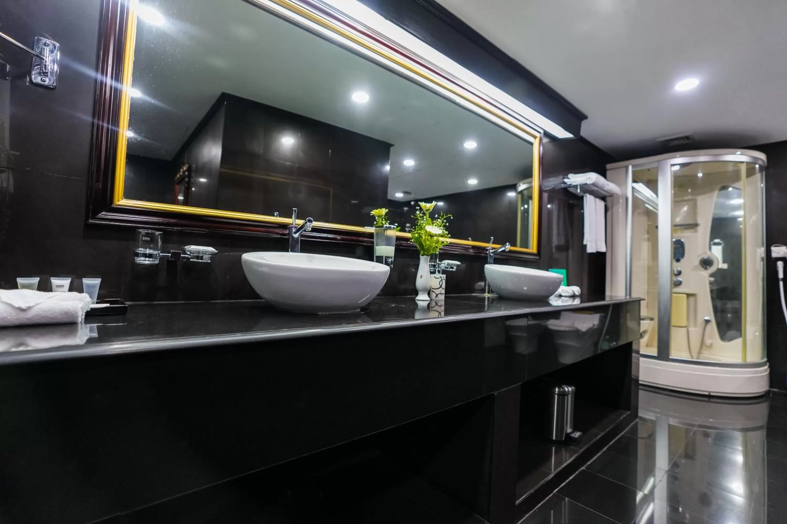 Bathroom in Hotel Sarina