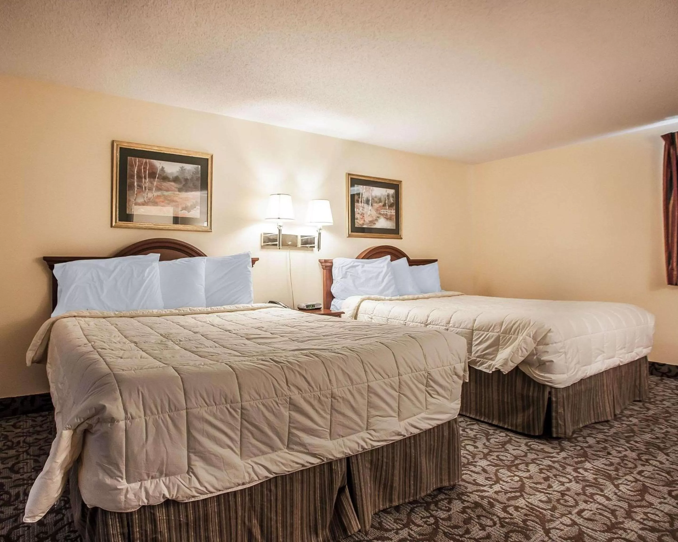 Photo of the whole room, Bed in Econo Lodge